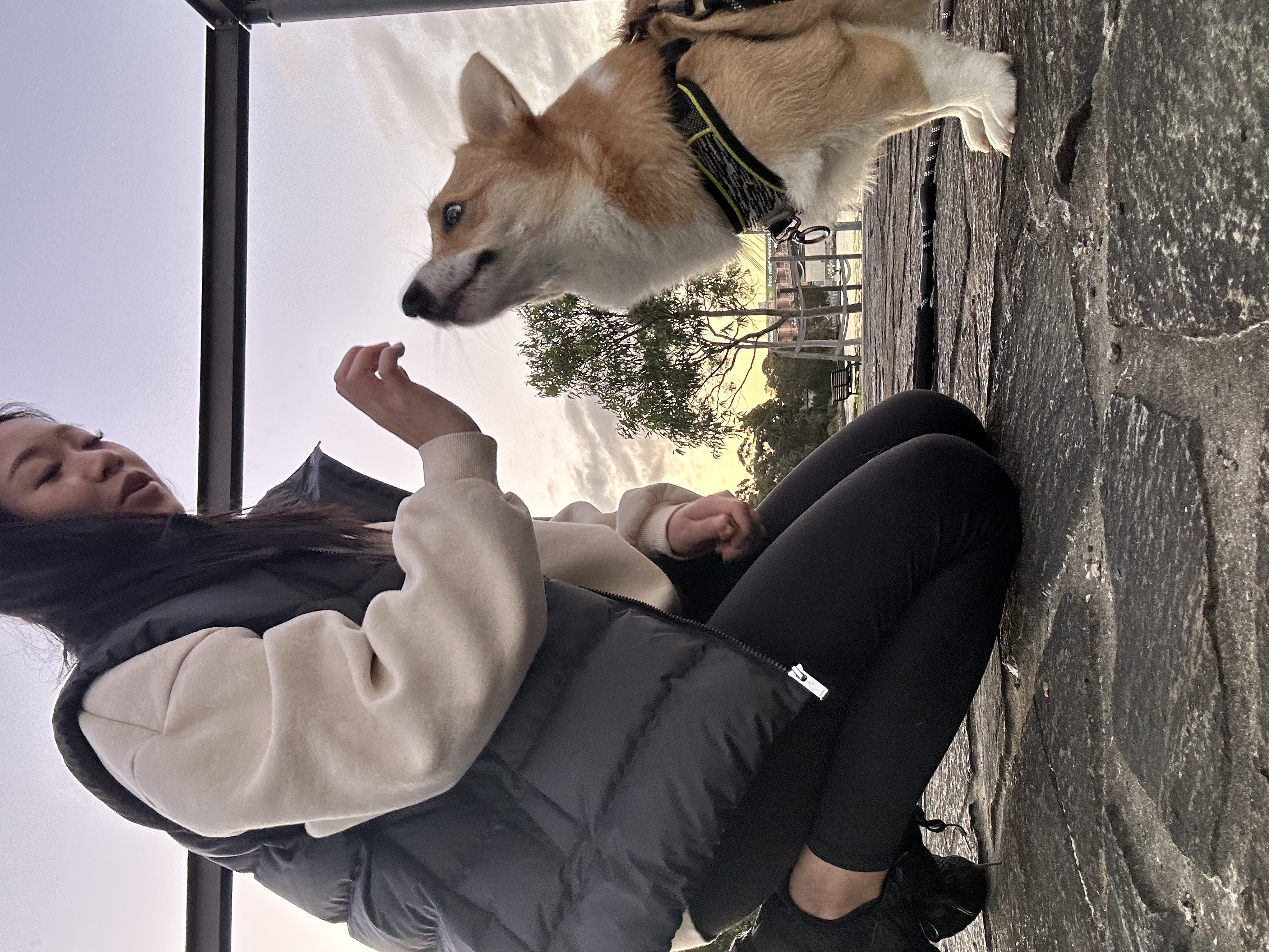 image-8