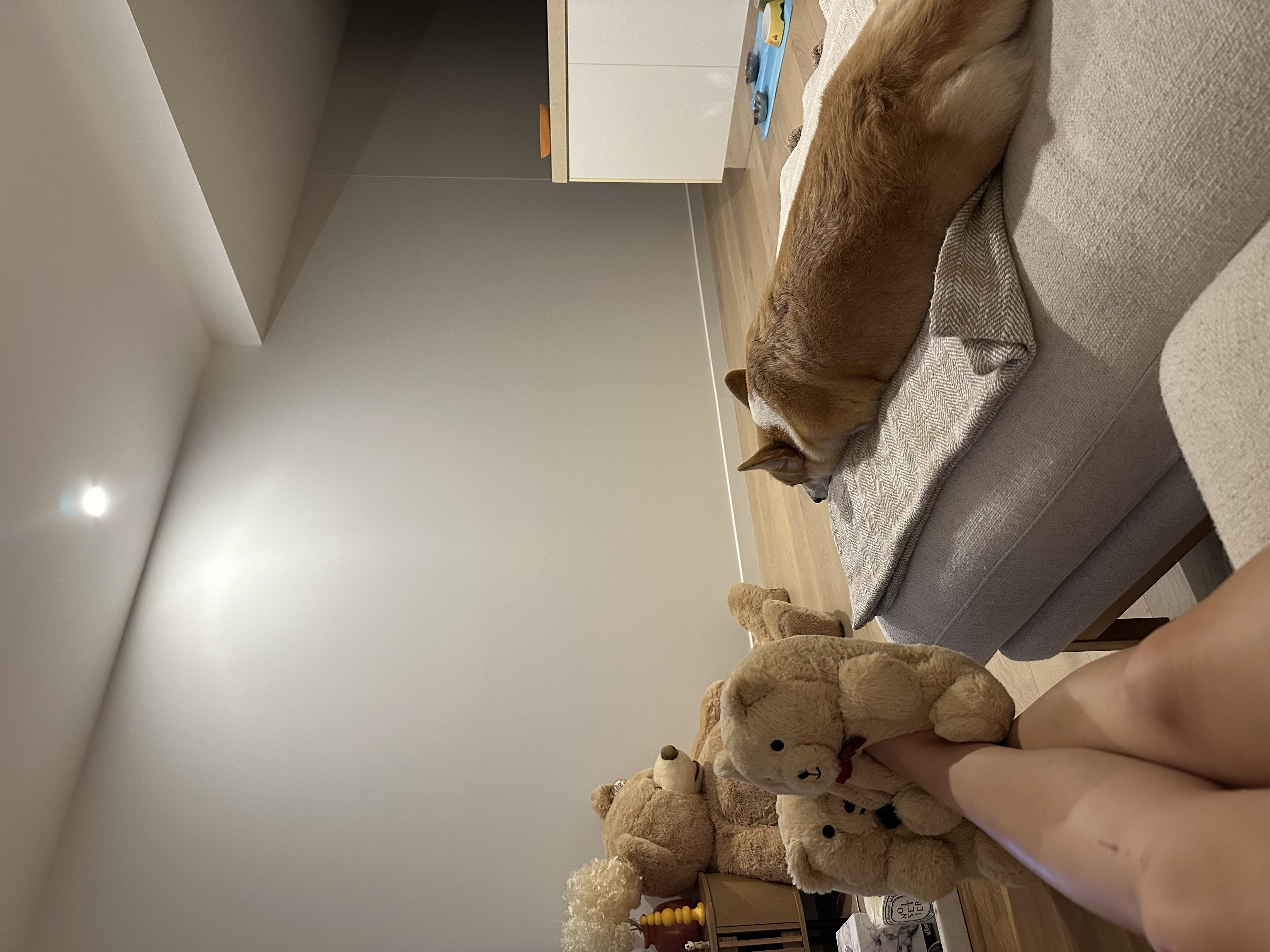 image-10