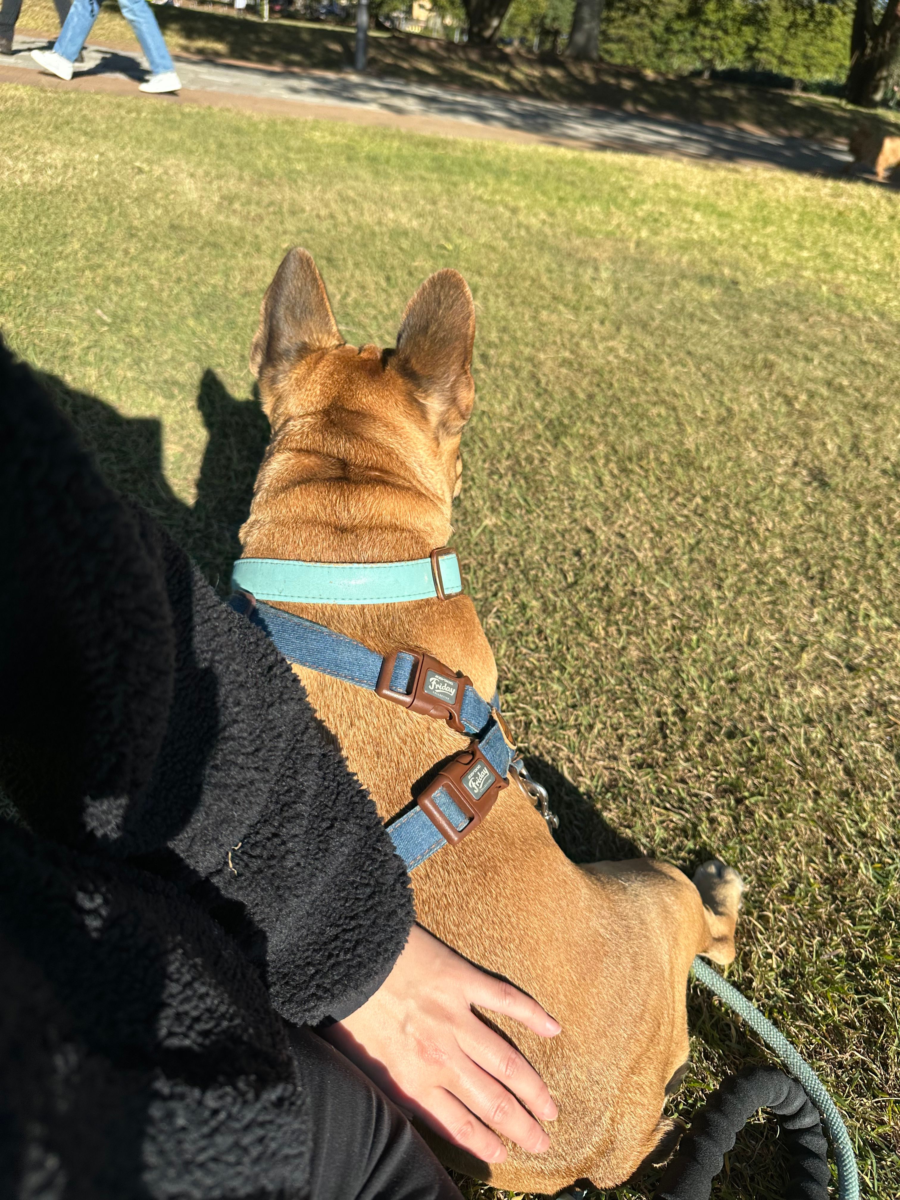 image-6