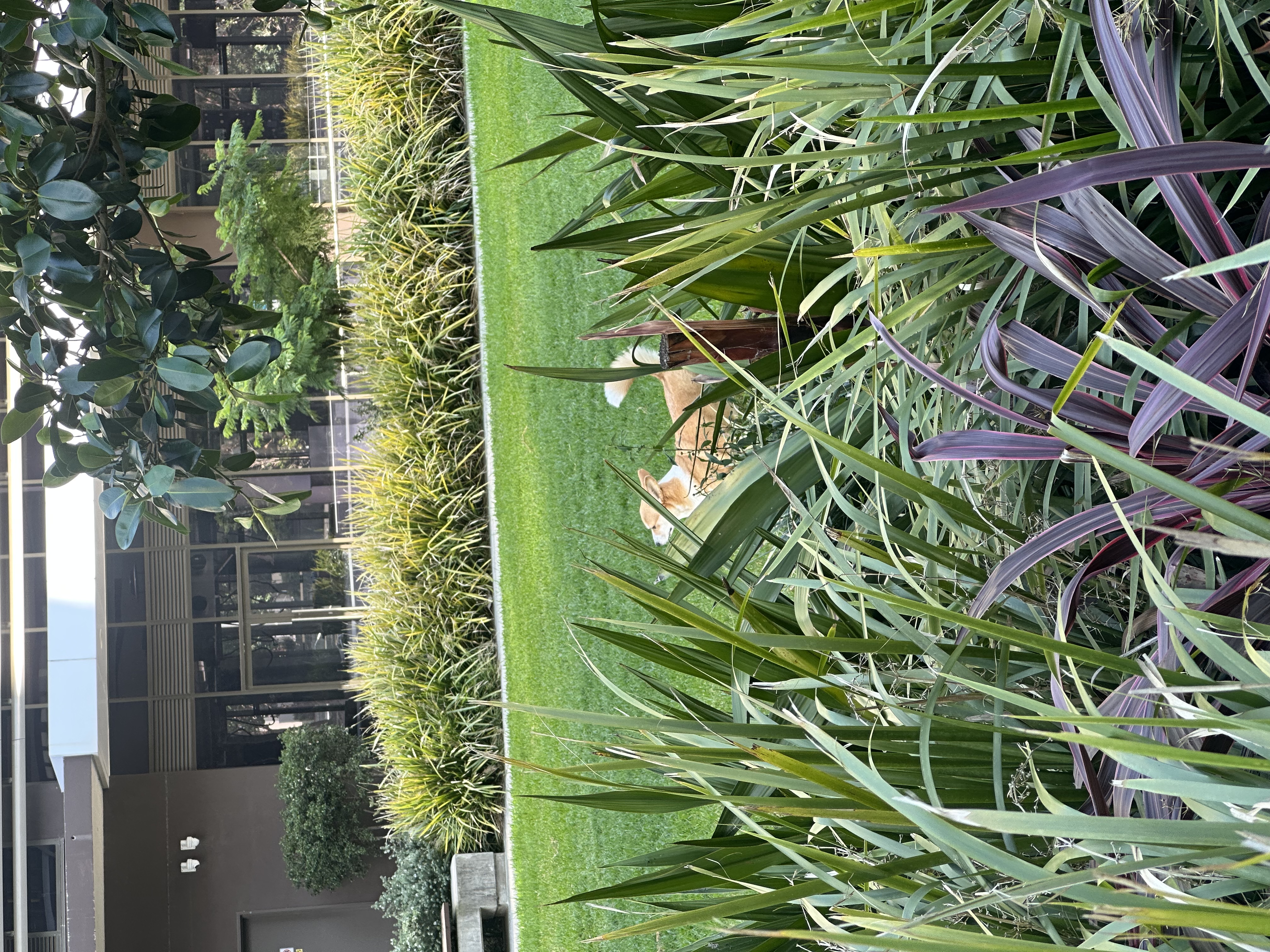image-12