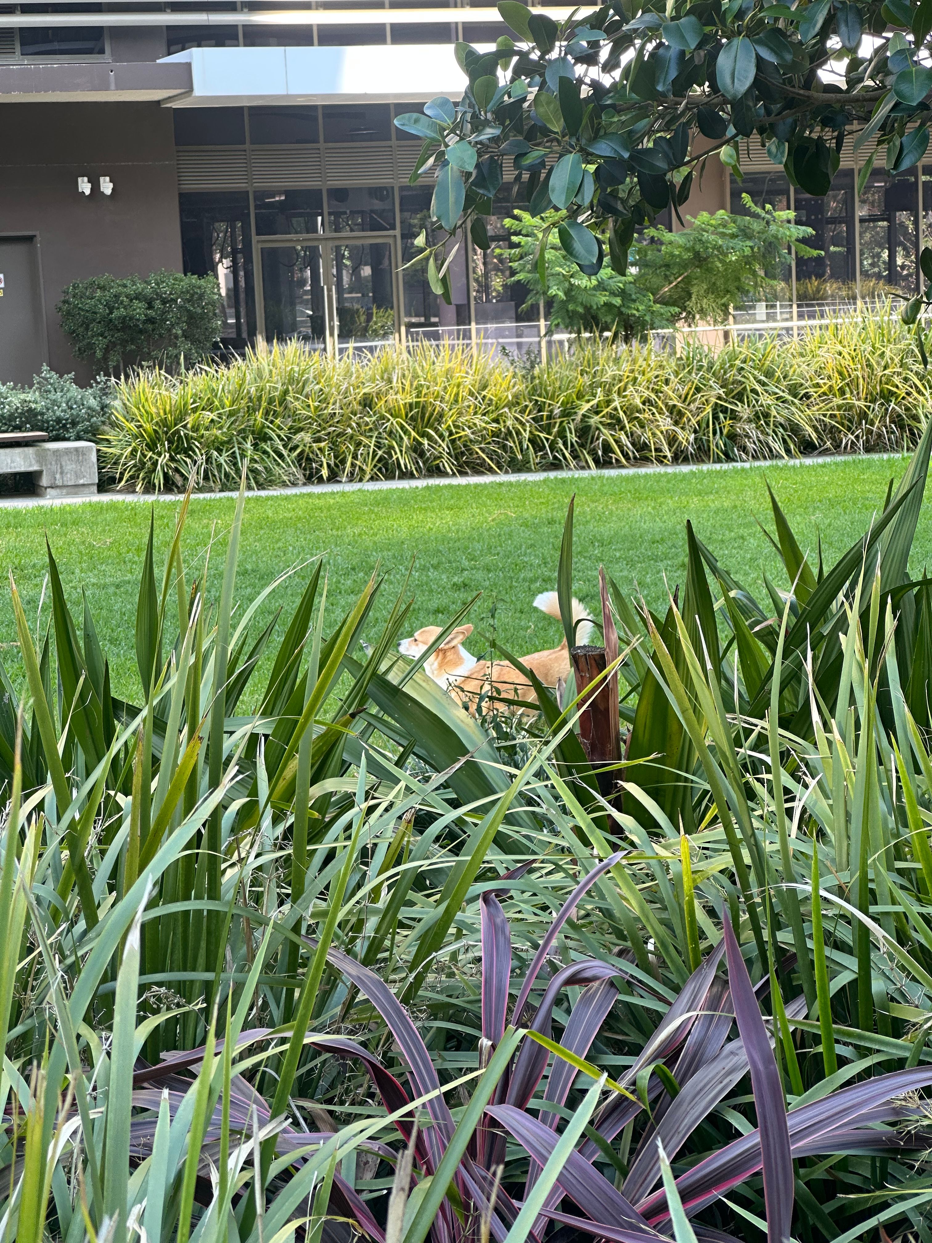 image-12