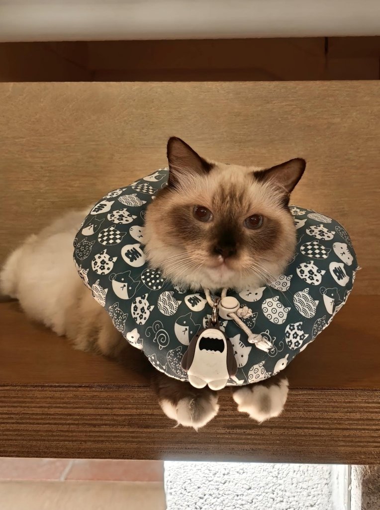 Maro