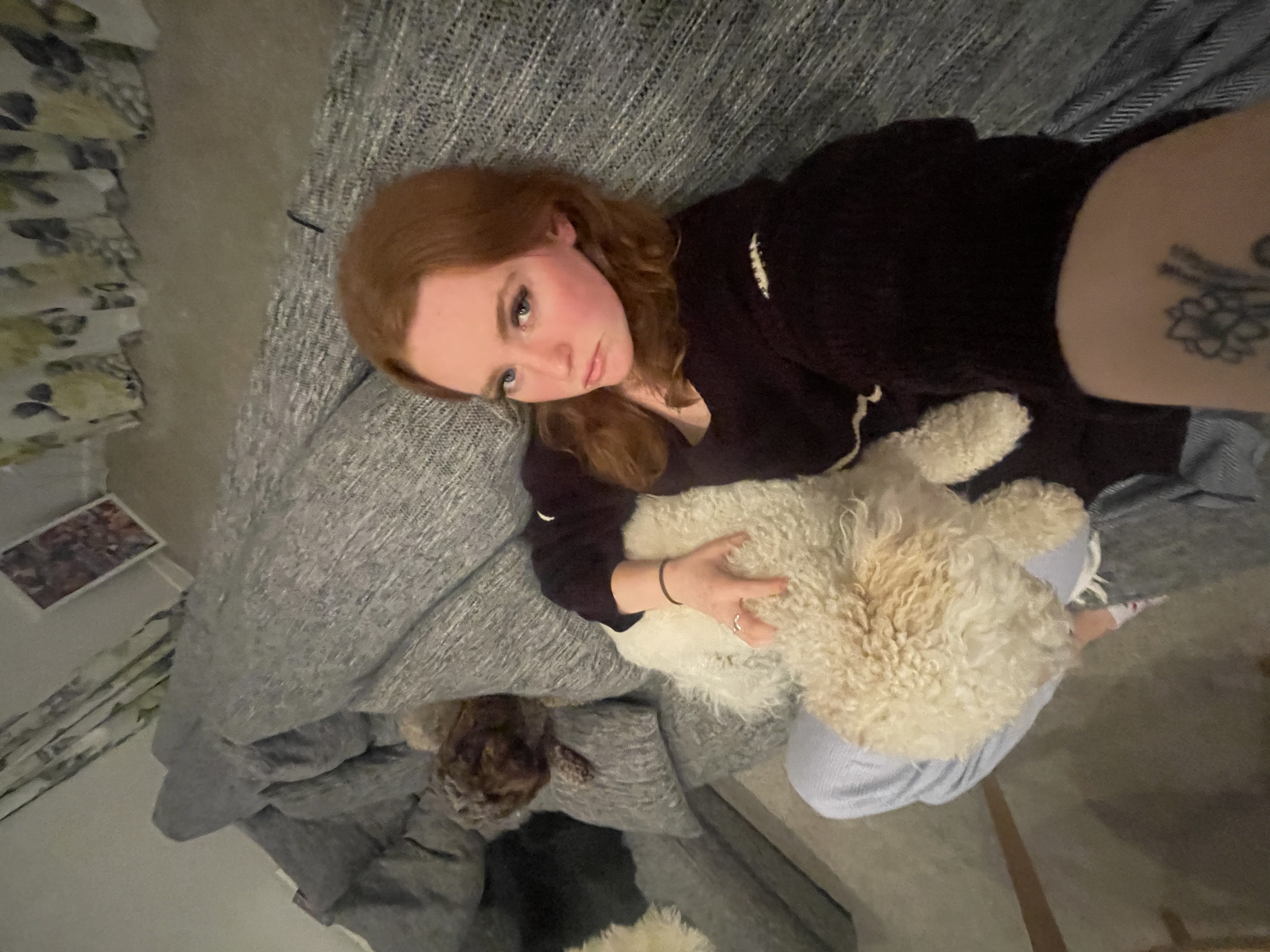 image-8
