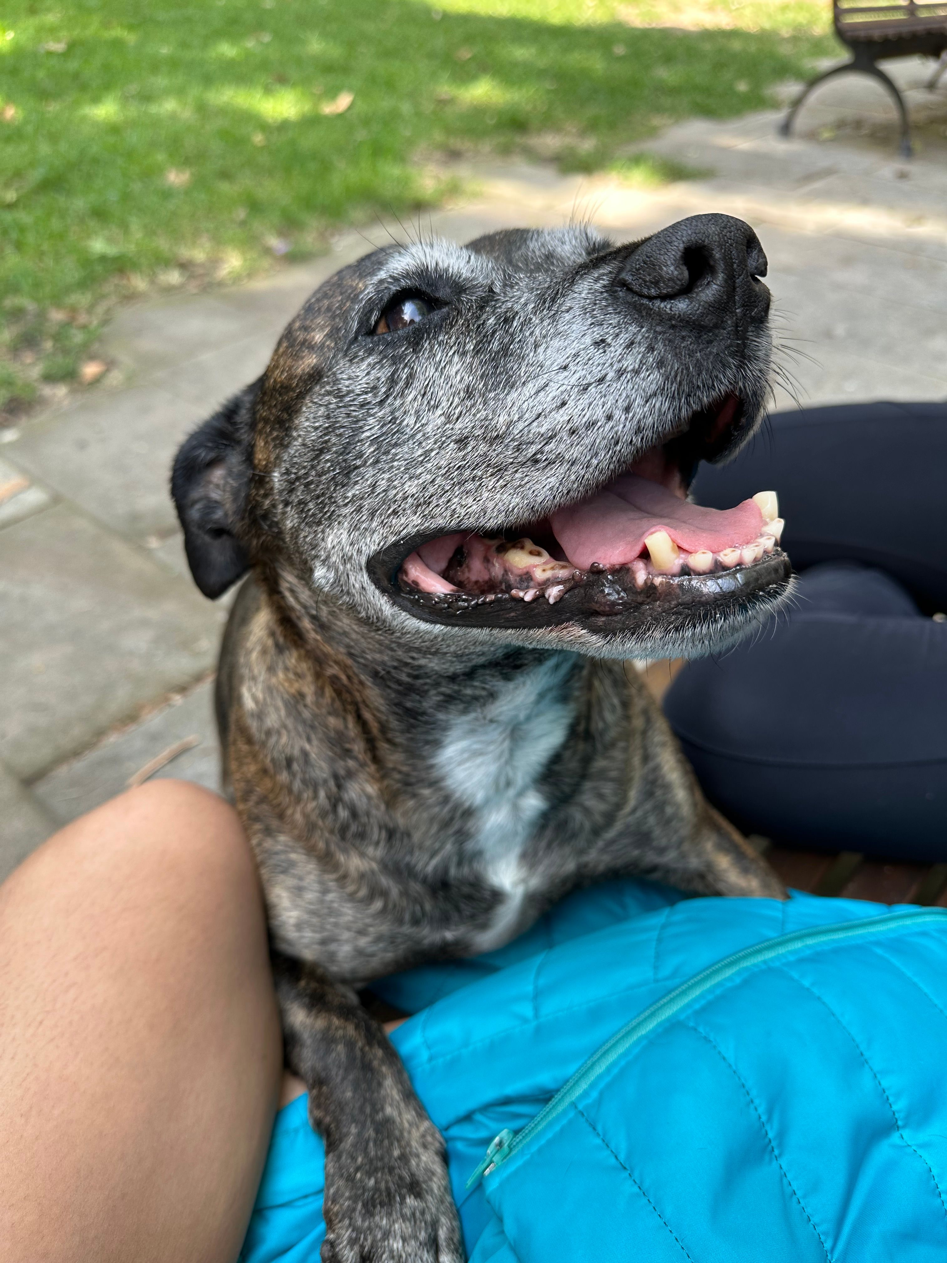 image-9