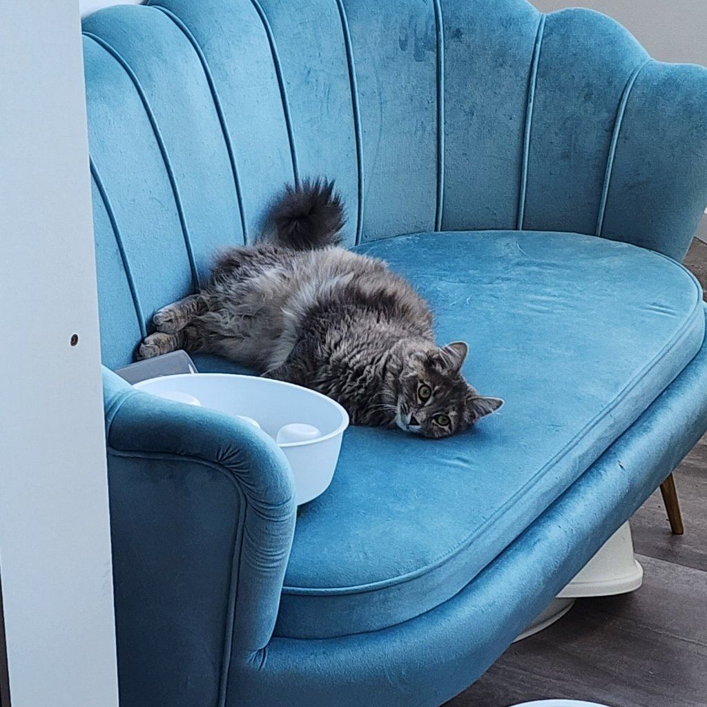 Ella