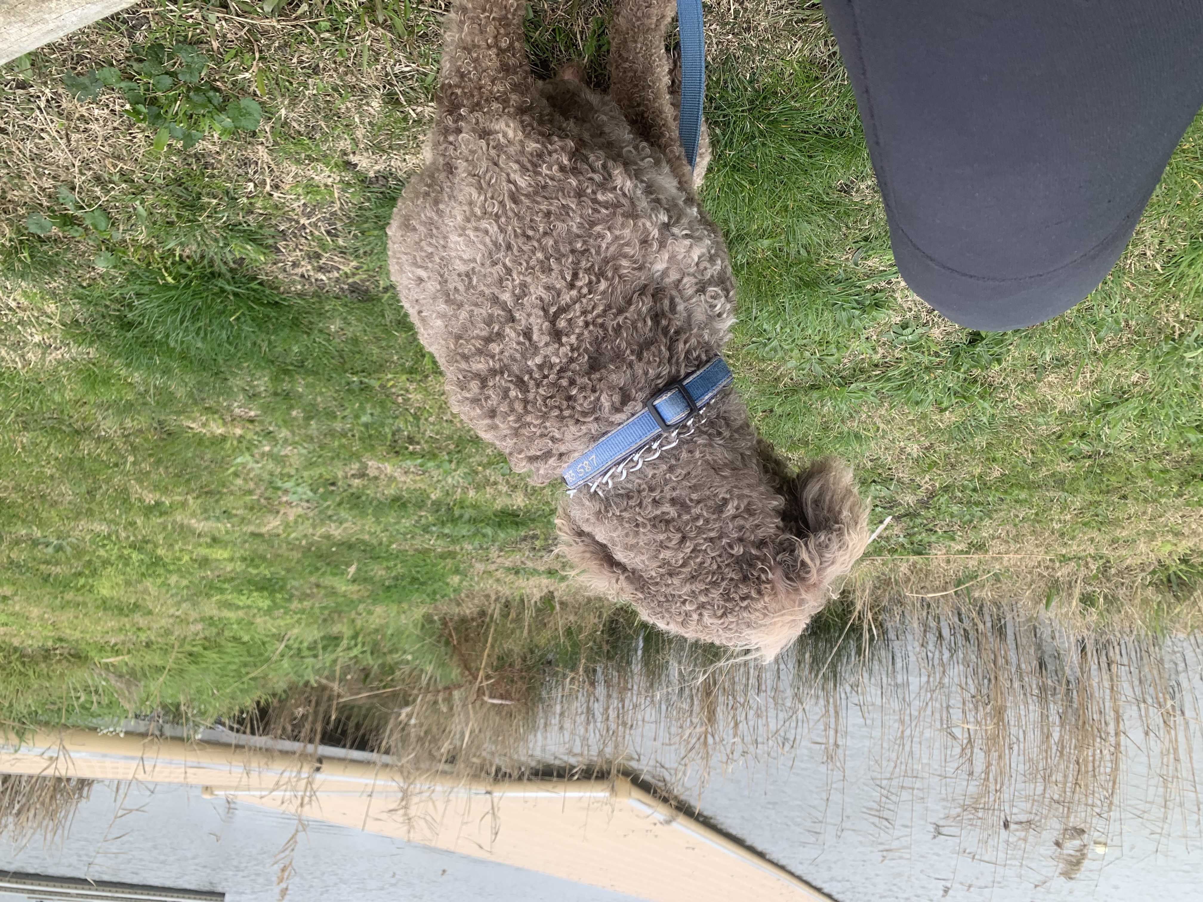 image-7
