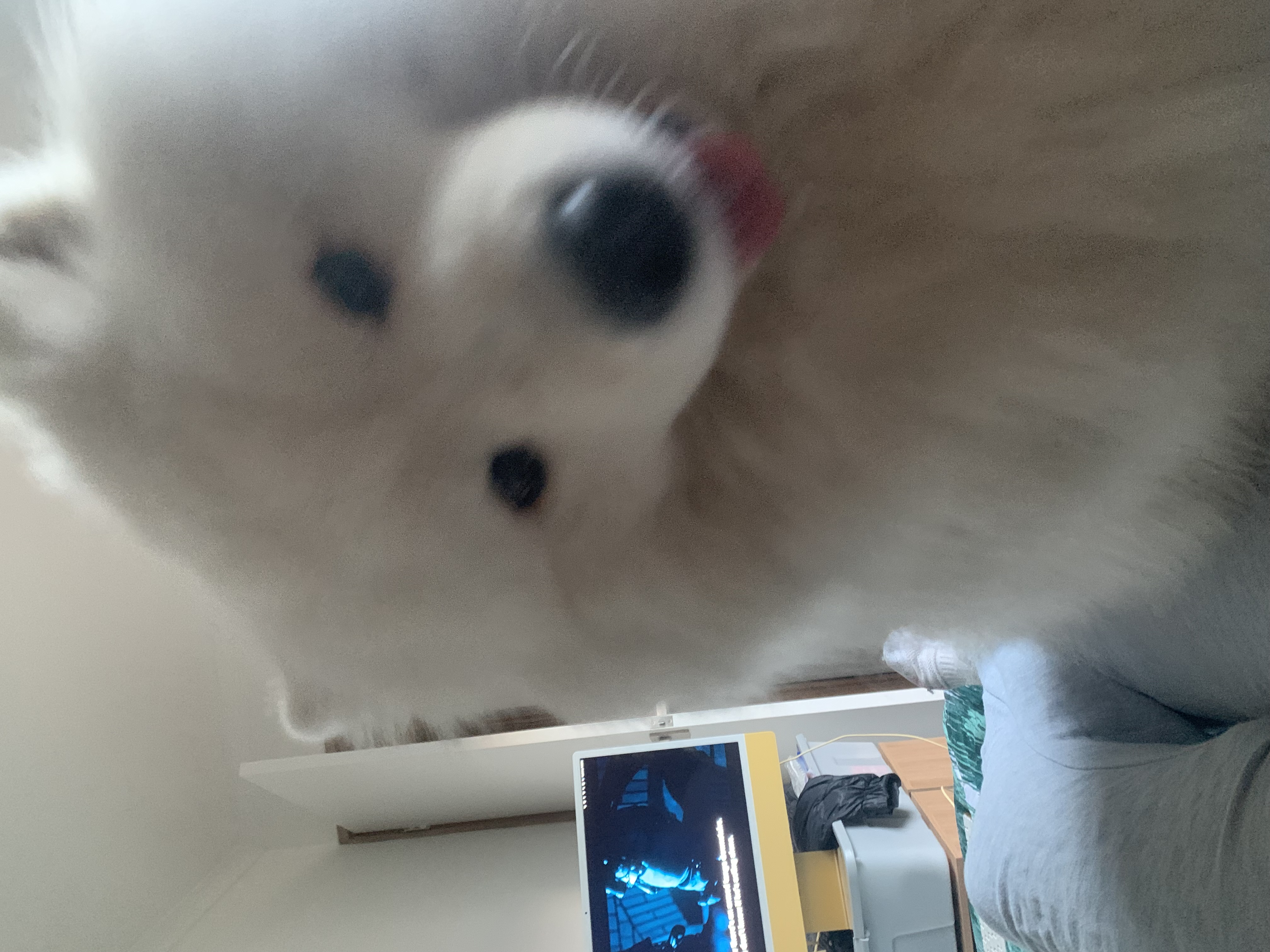 image-9