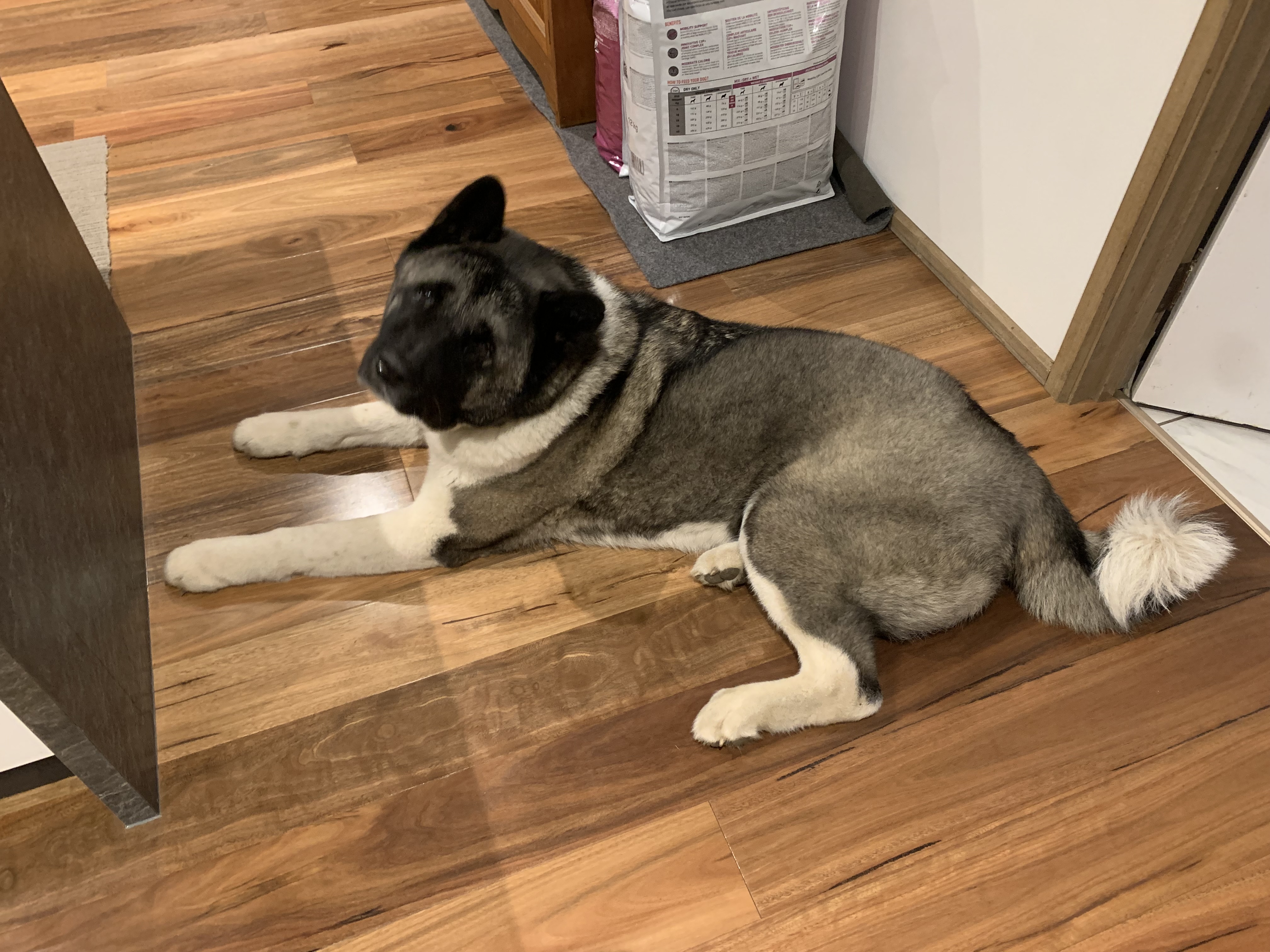 image-18