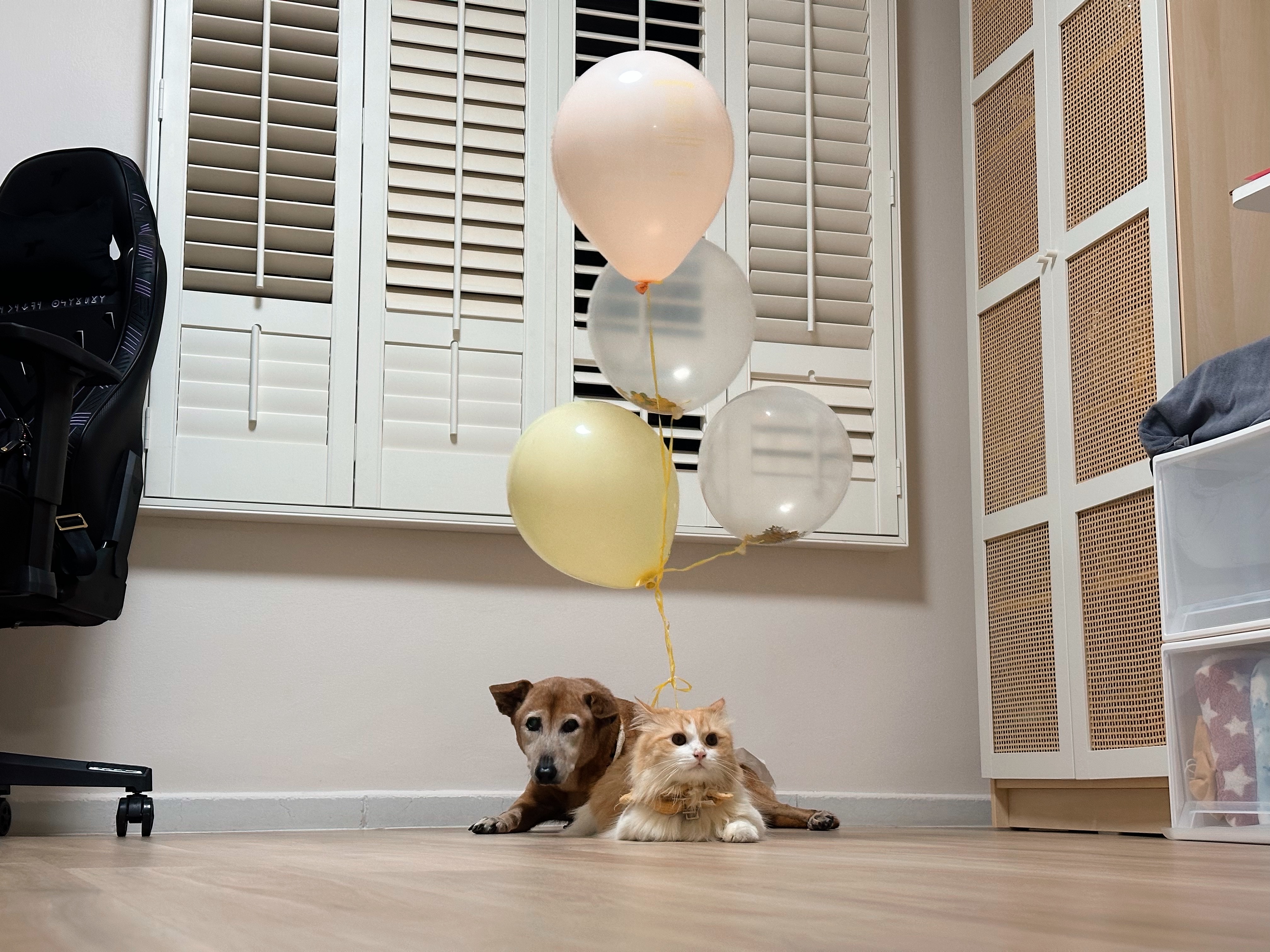 image-7