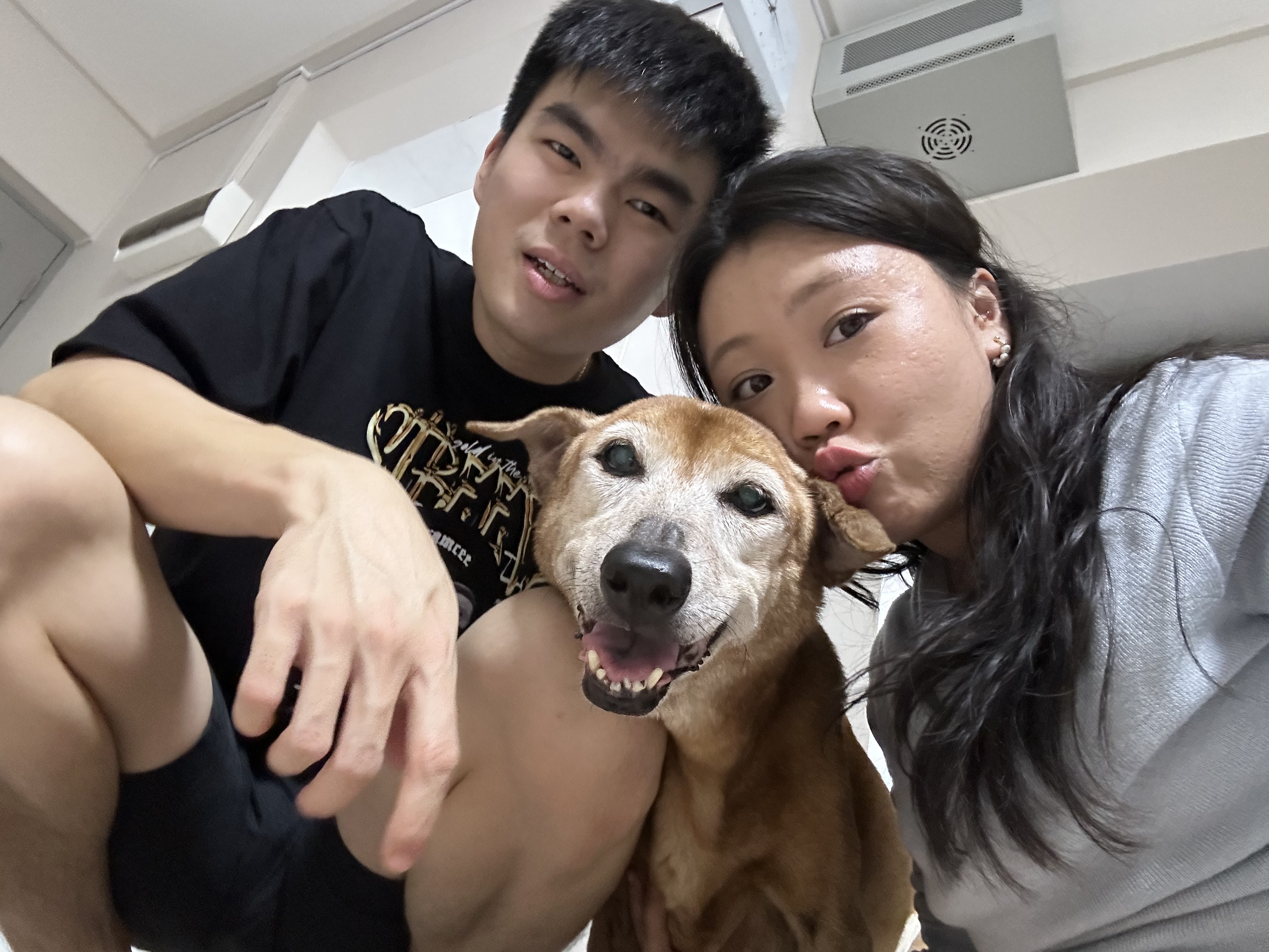 image-5