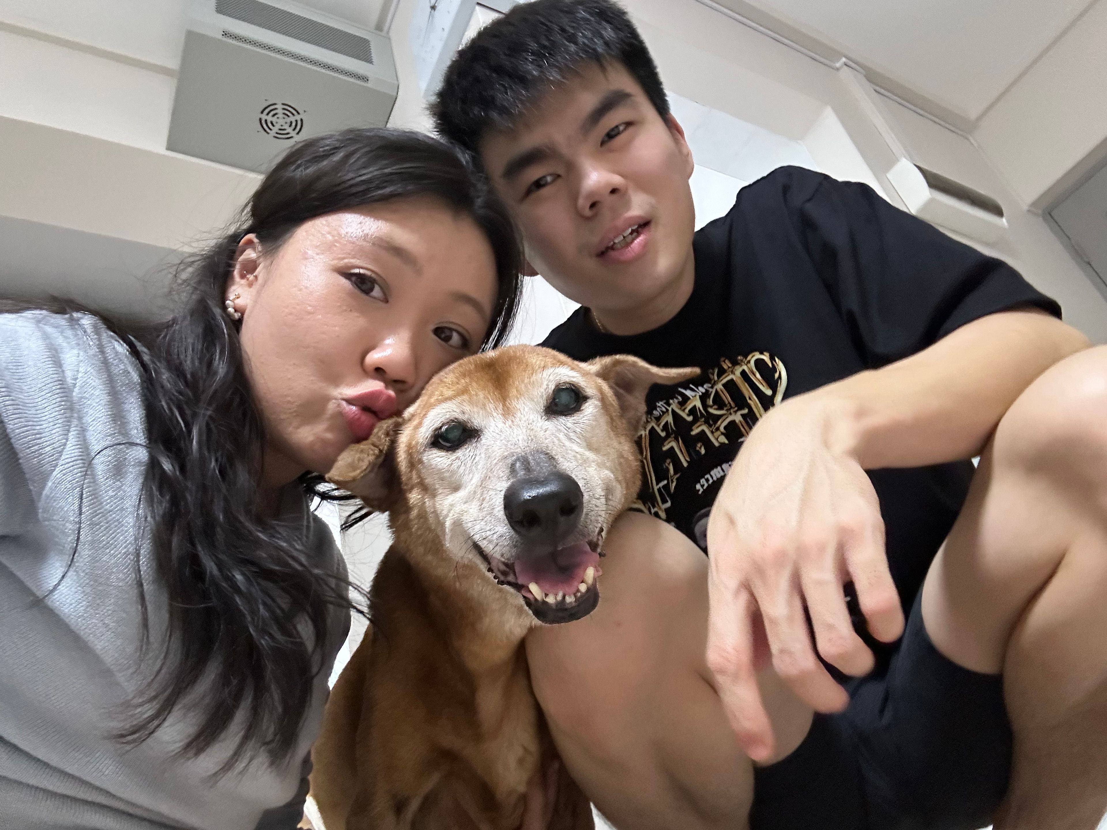 image-5