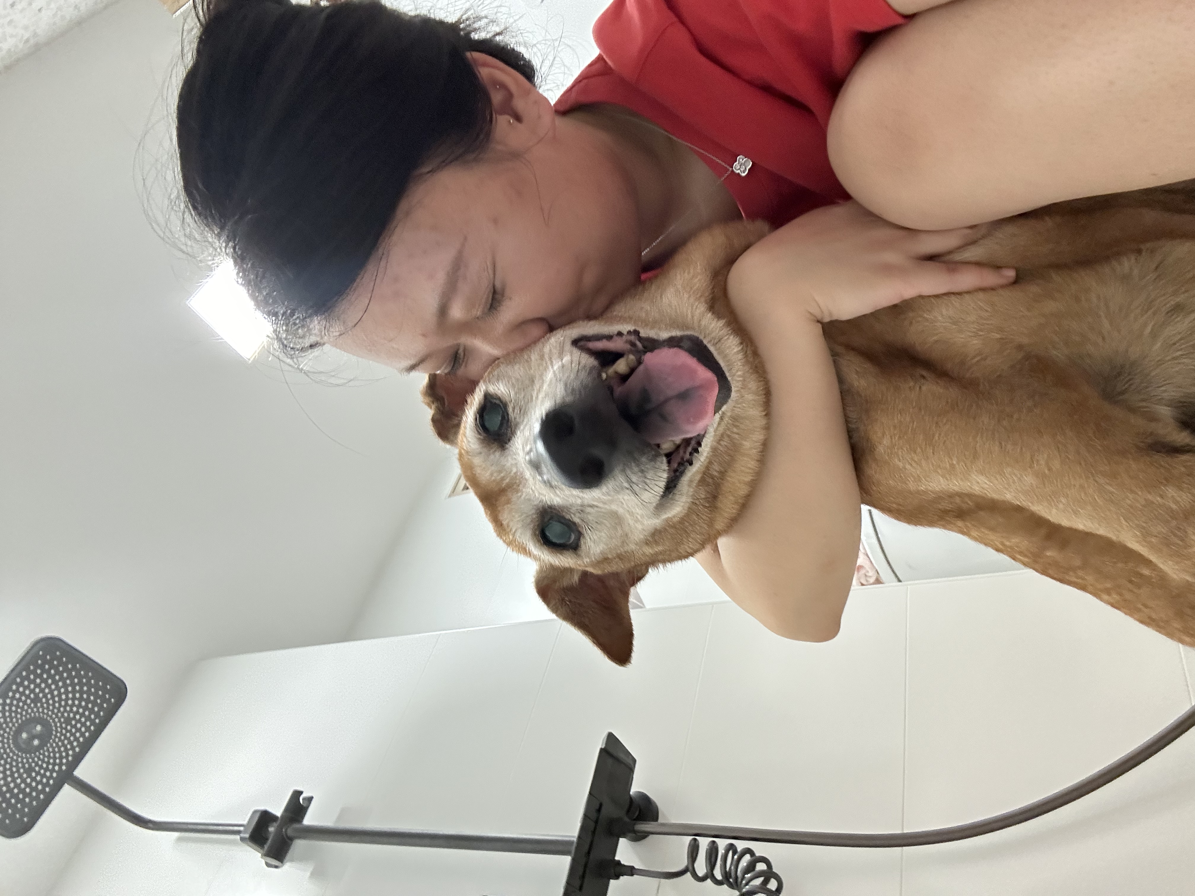 image-2