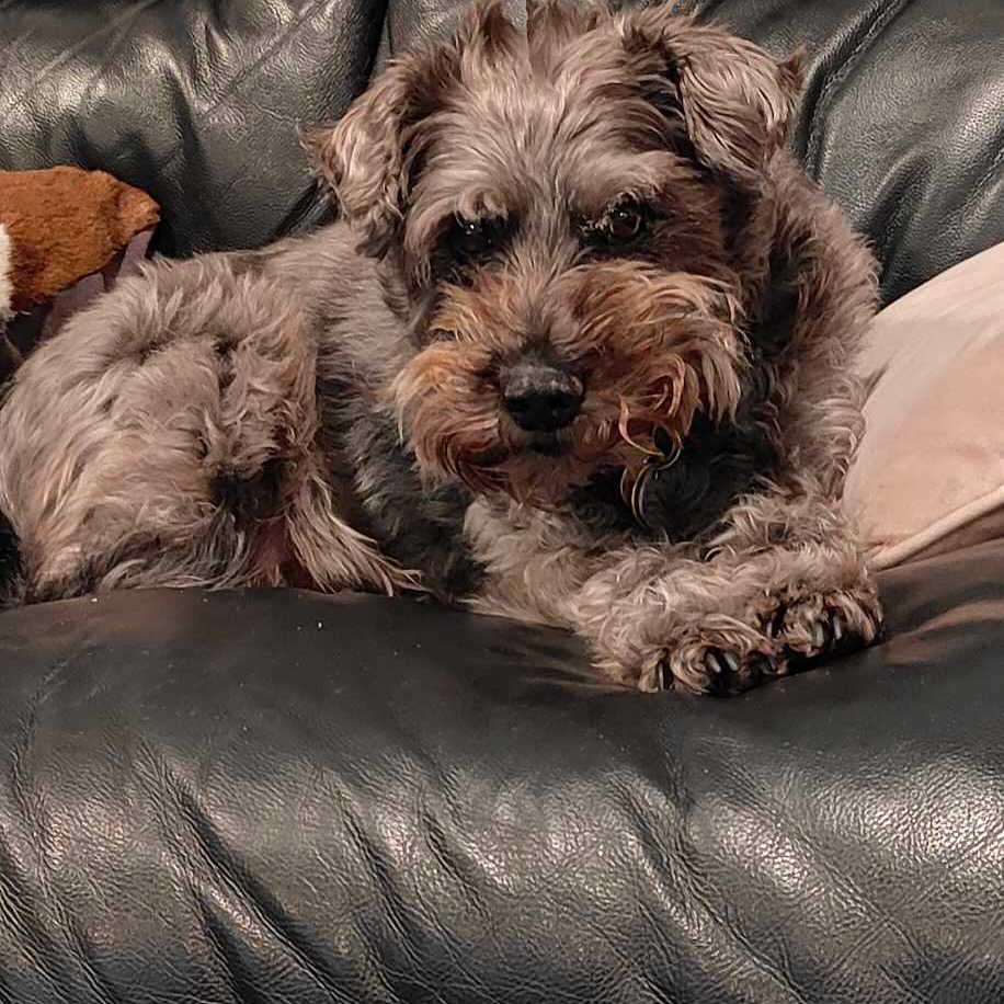 Niki