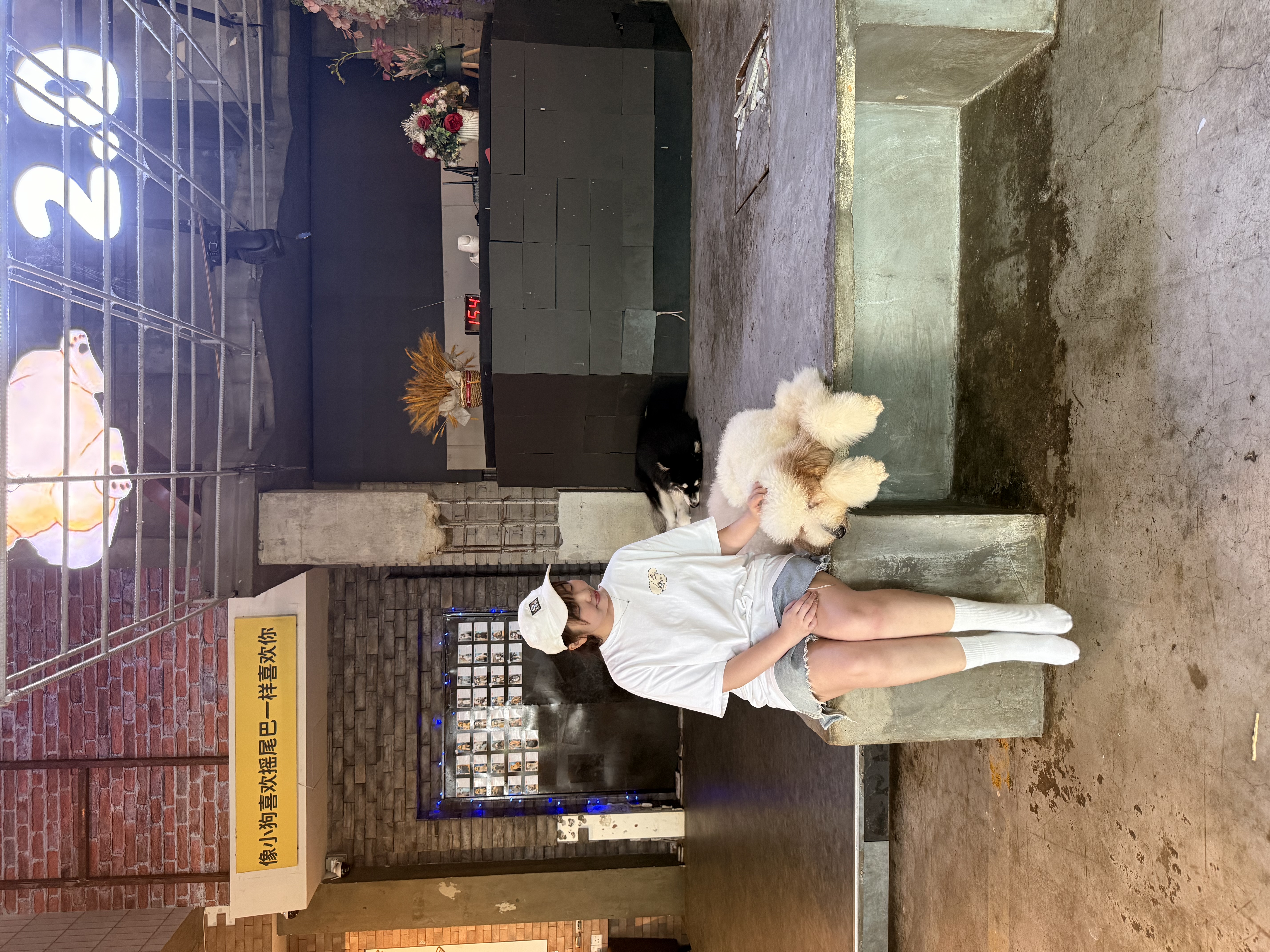 image-3