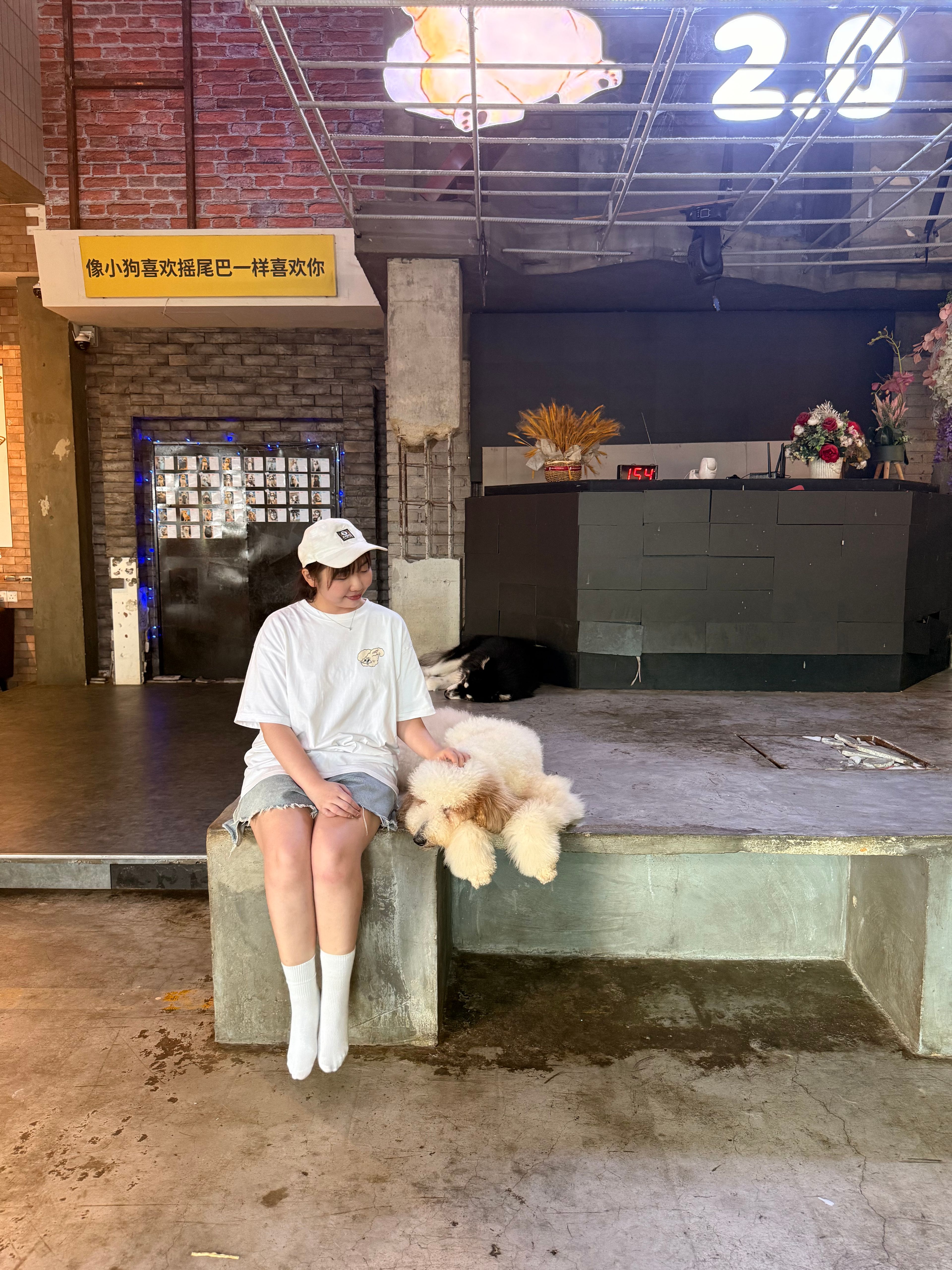 image-3