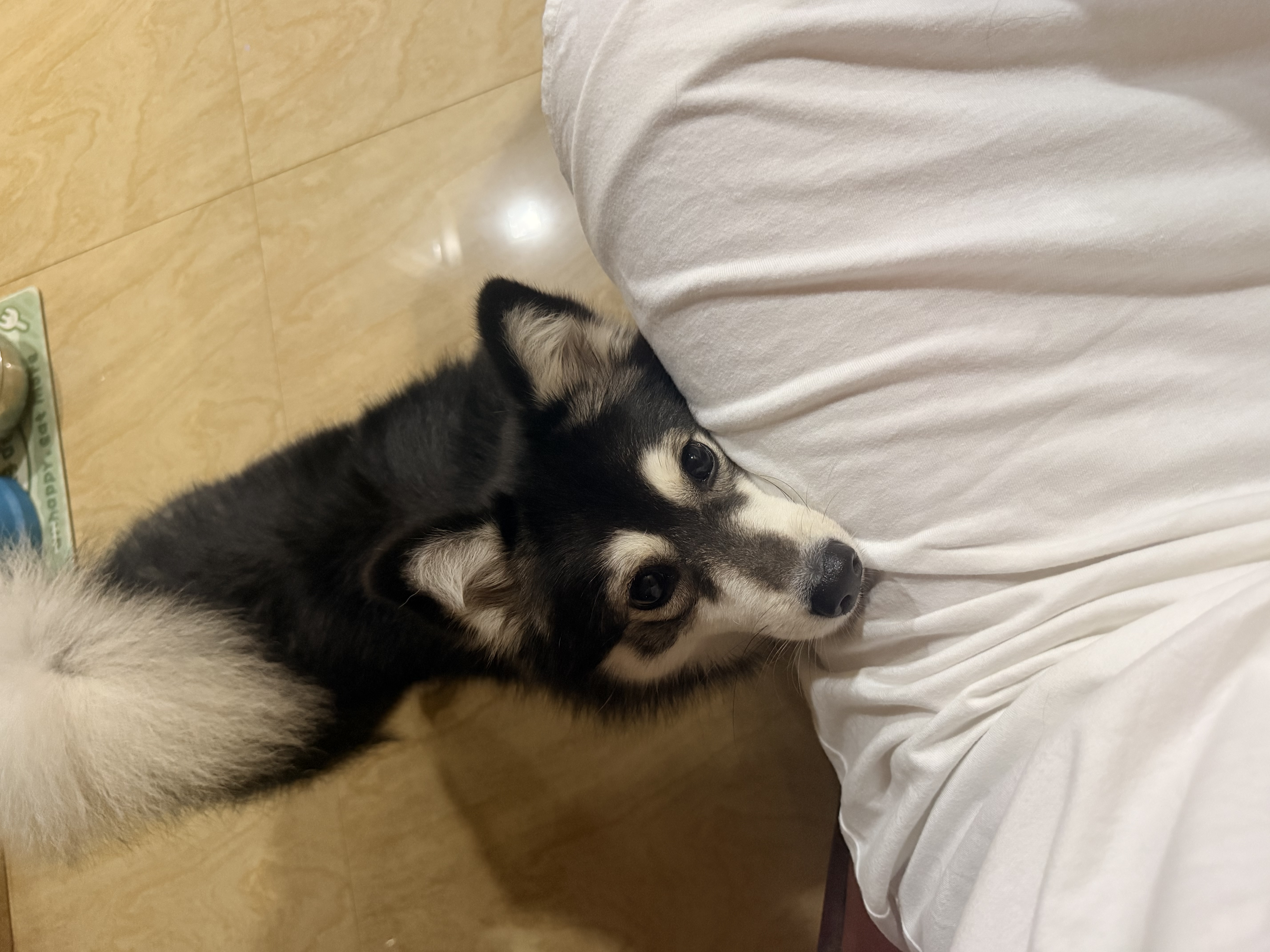 image-5