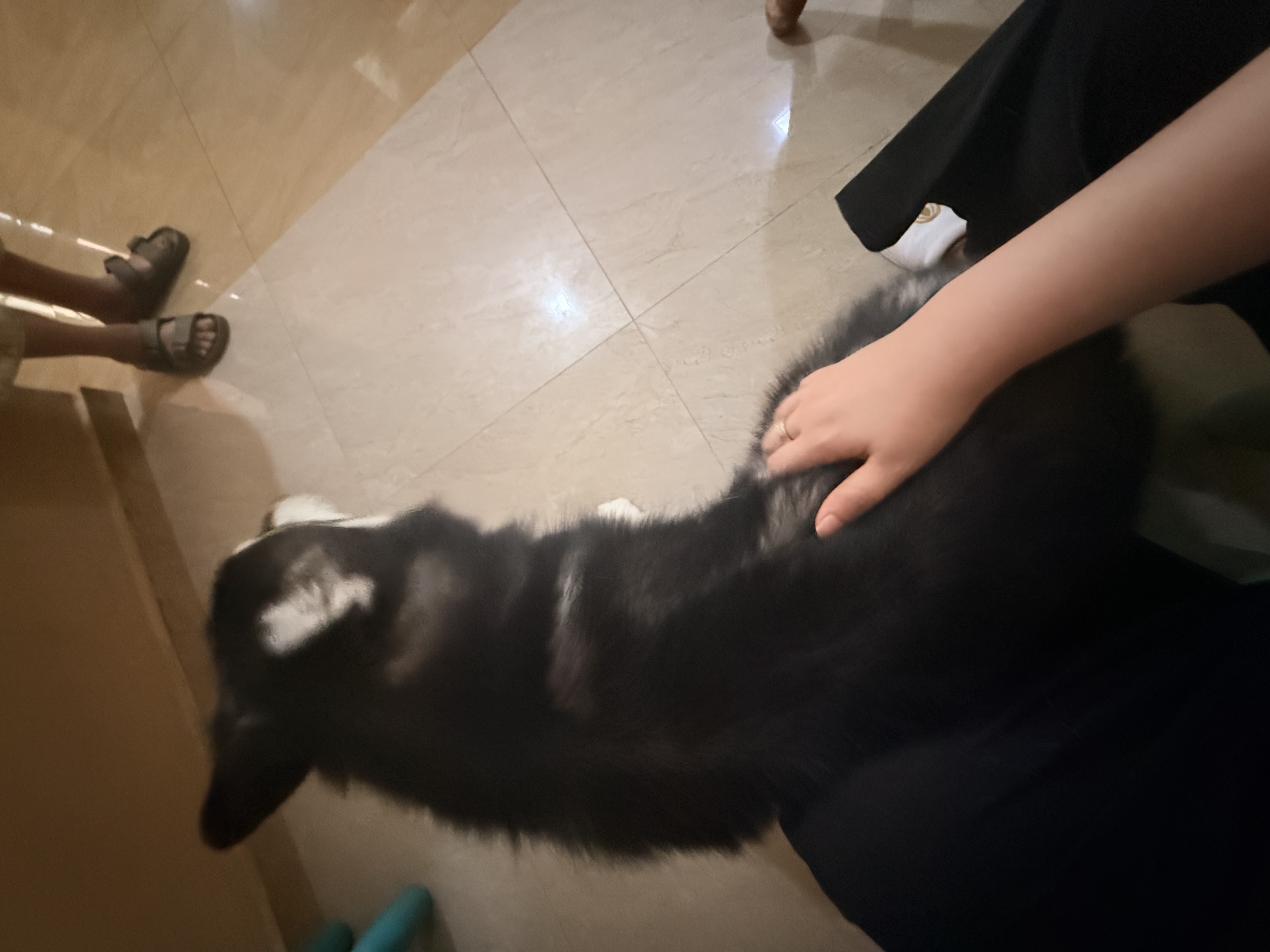 image-8