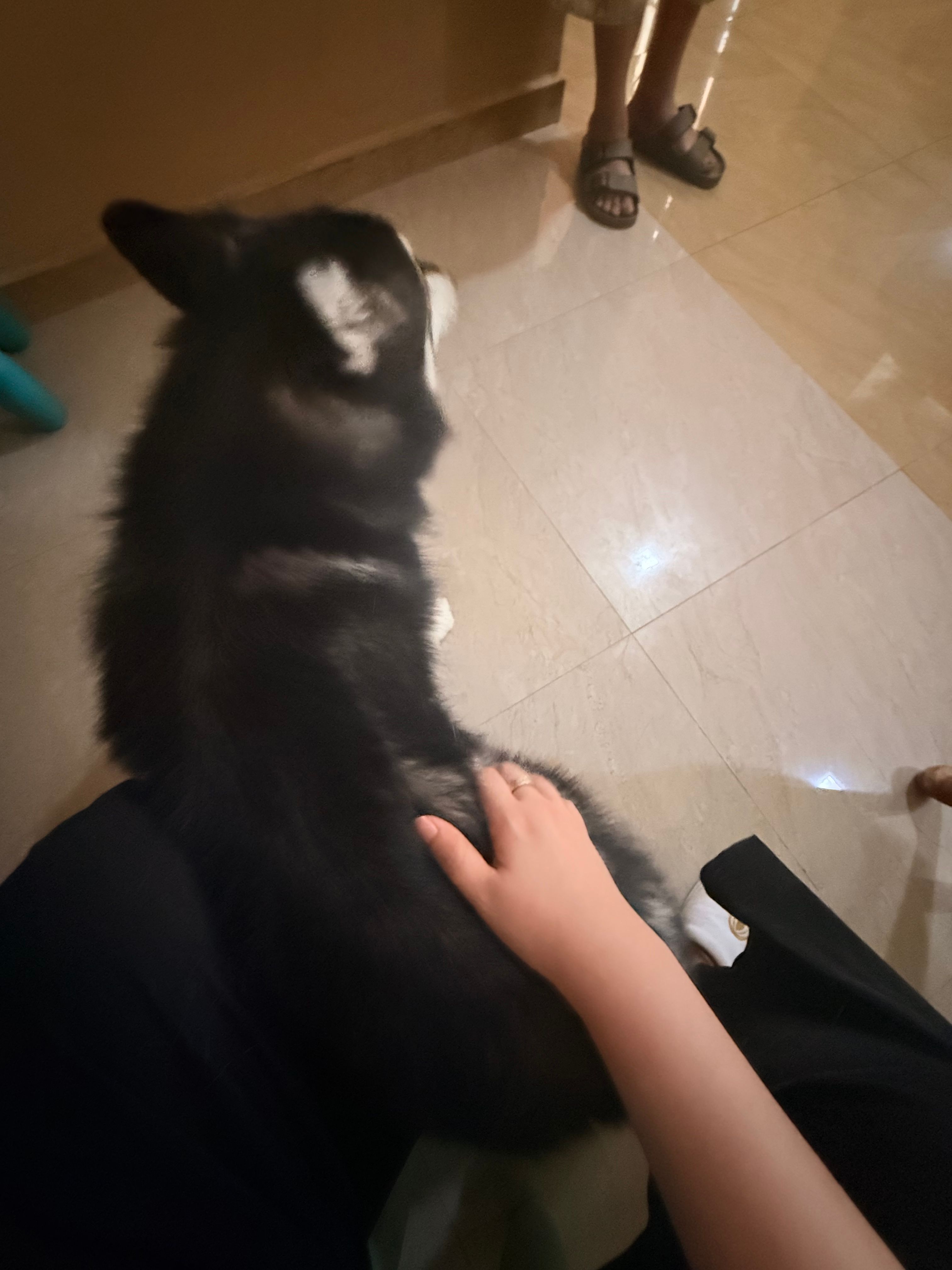 image-8