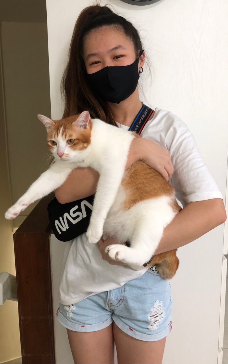 image-10