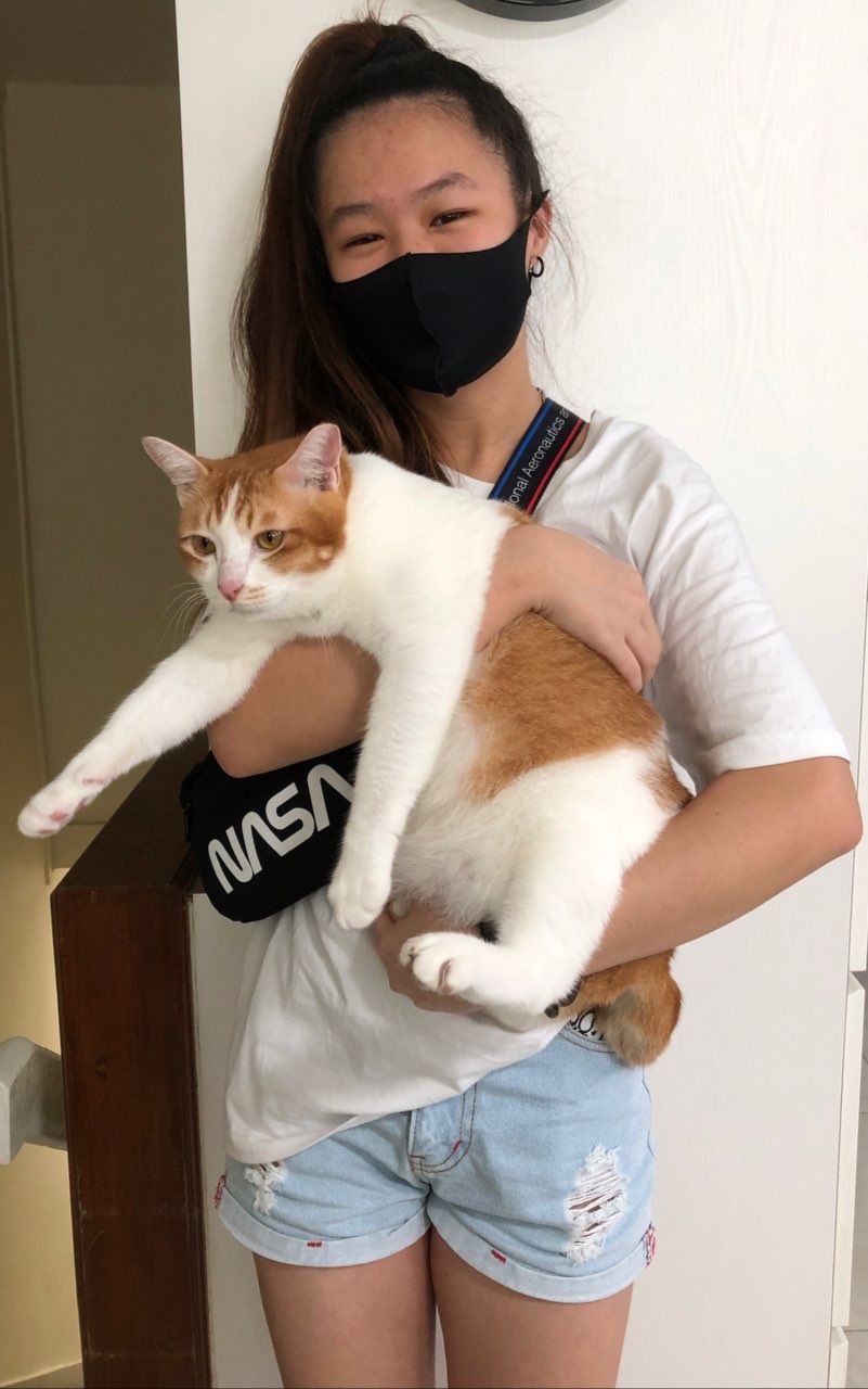 image-10