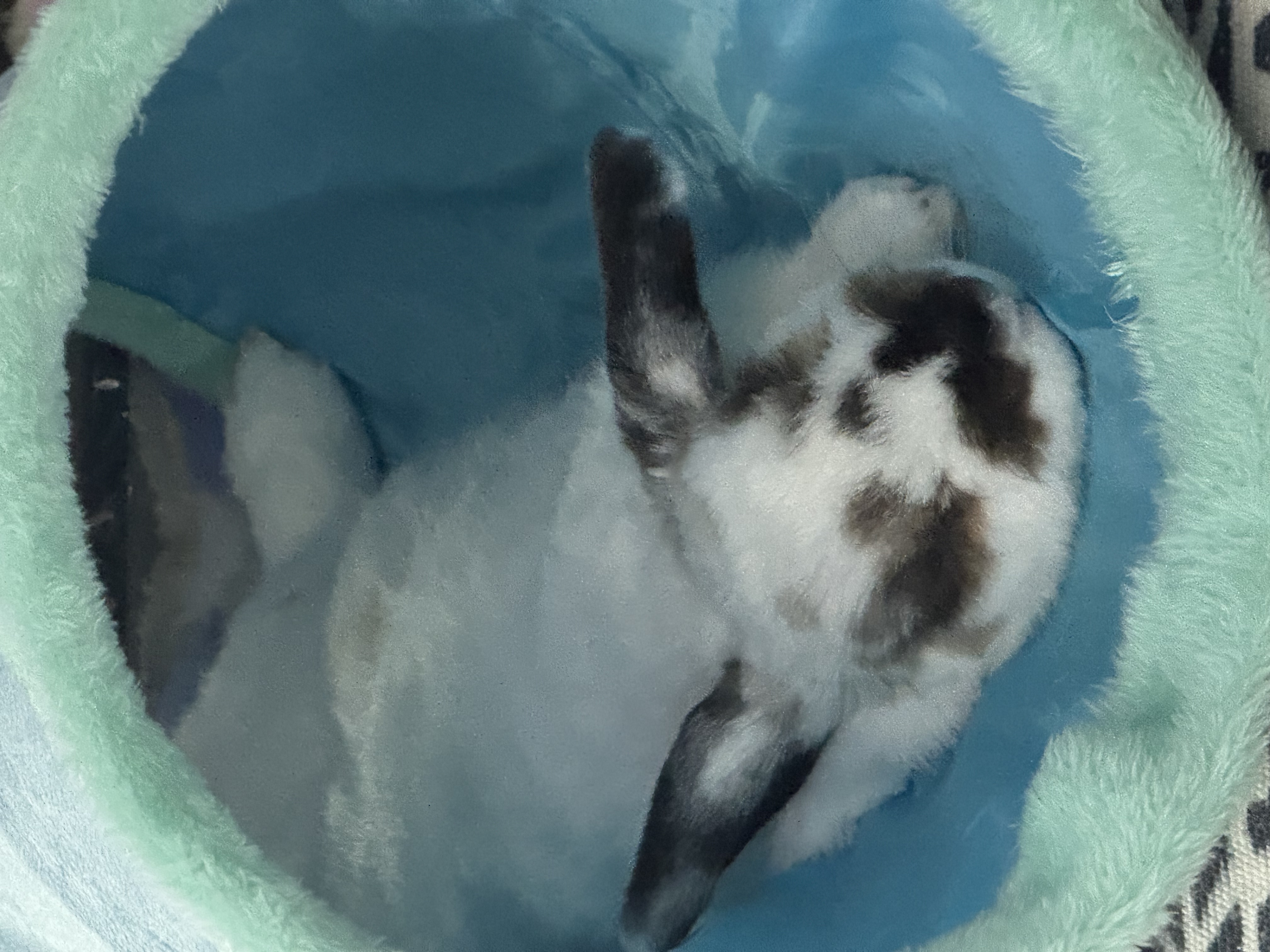 image-5