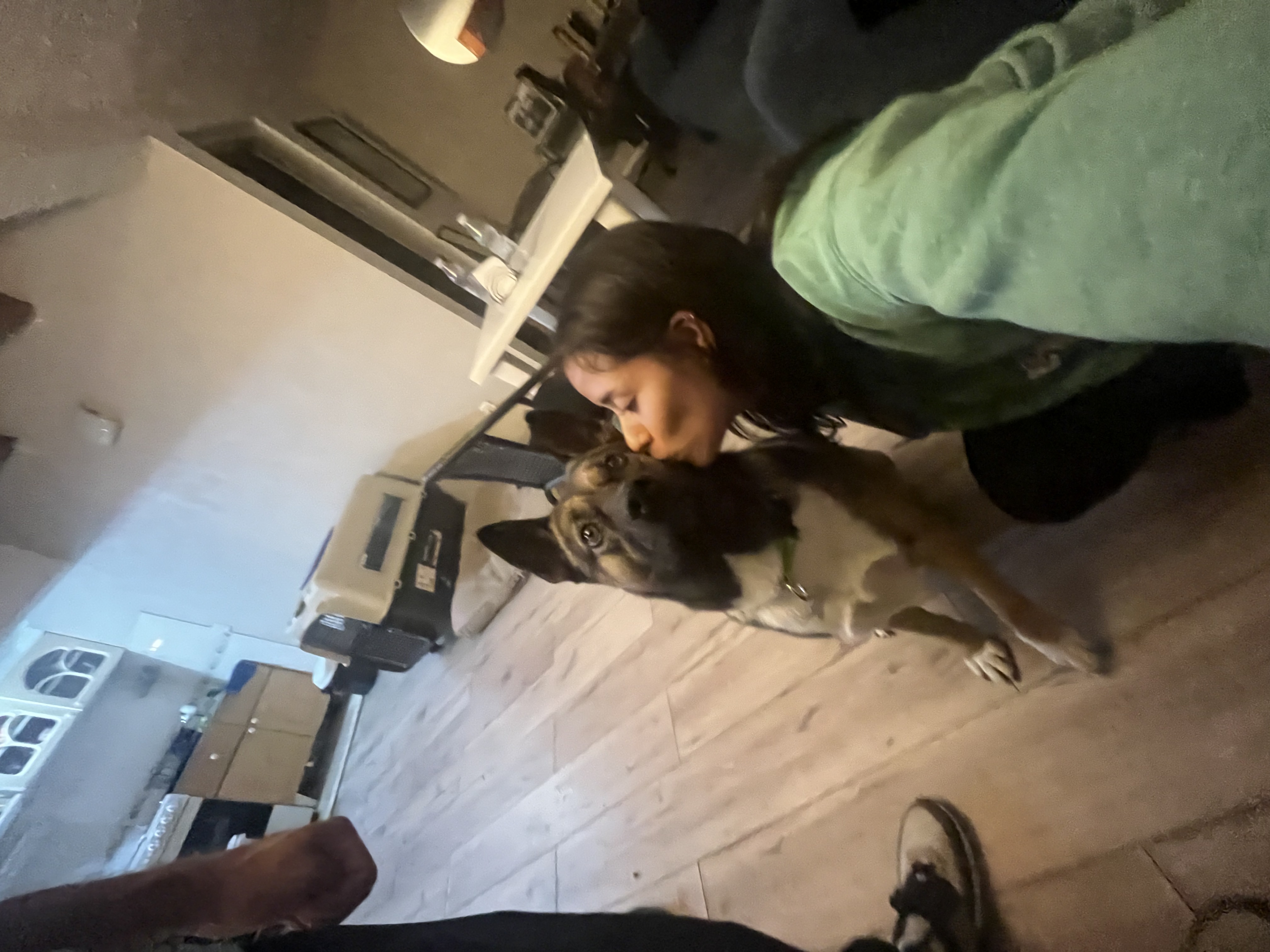 image-7
