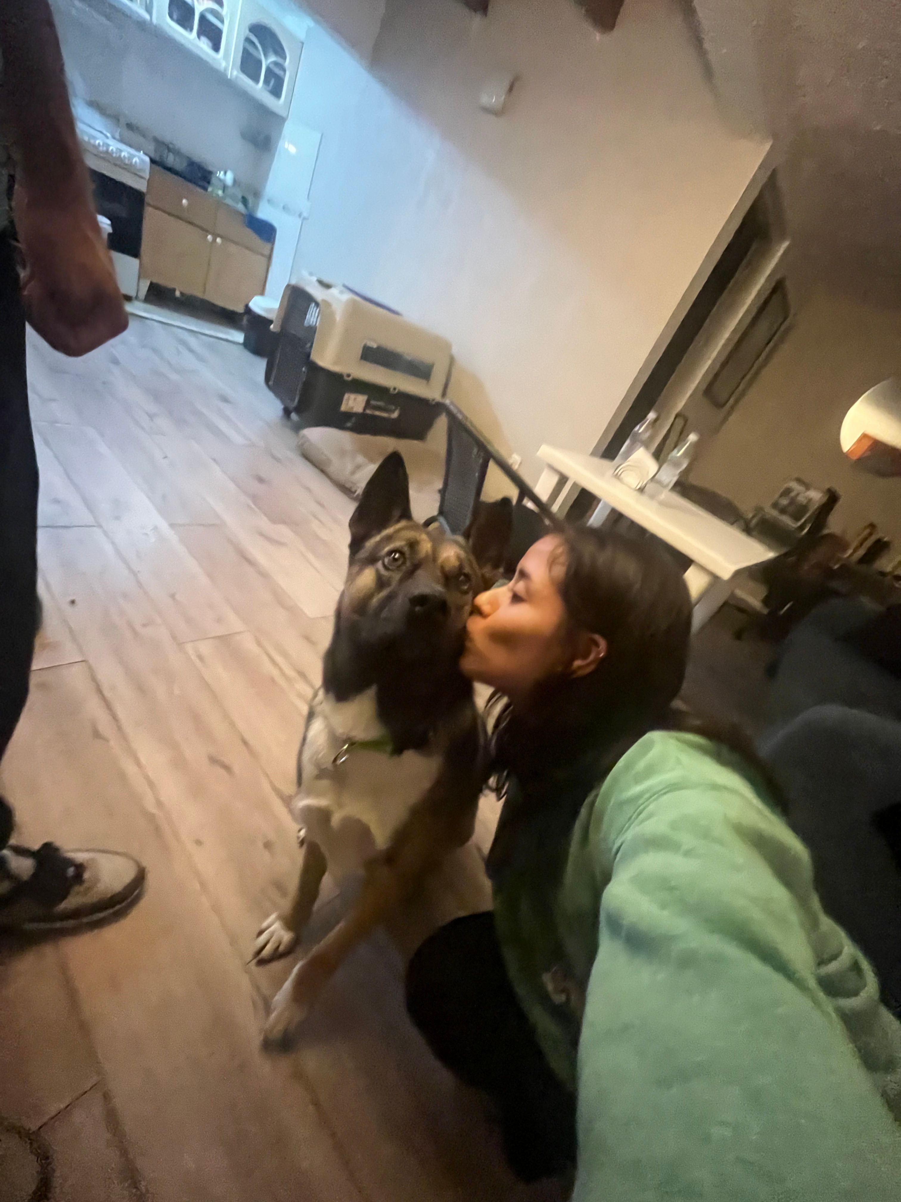 image-7