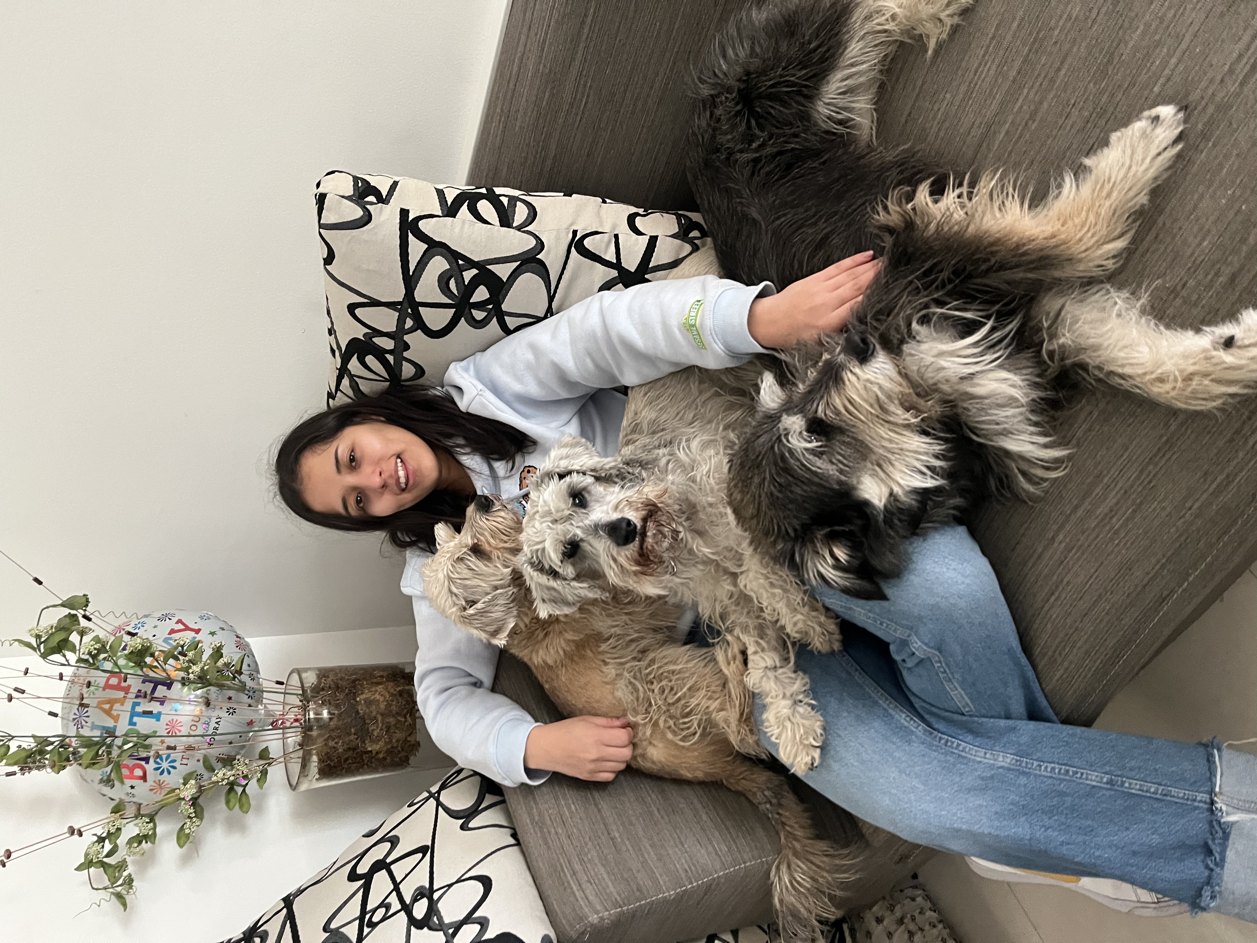 image-4