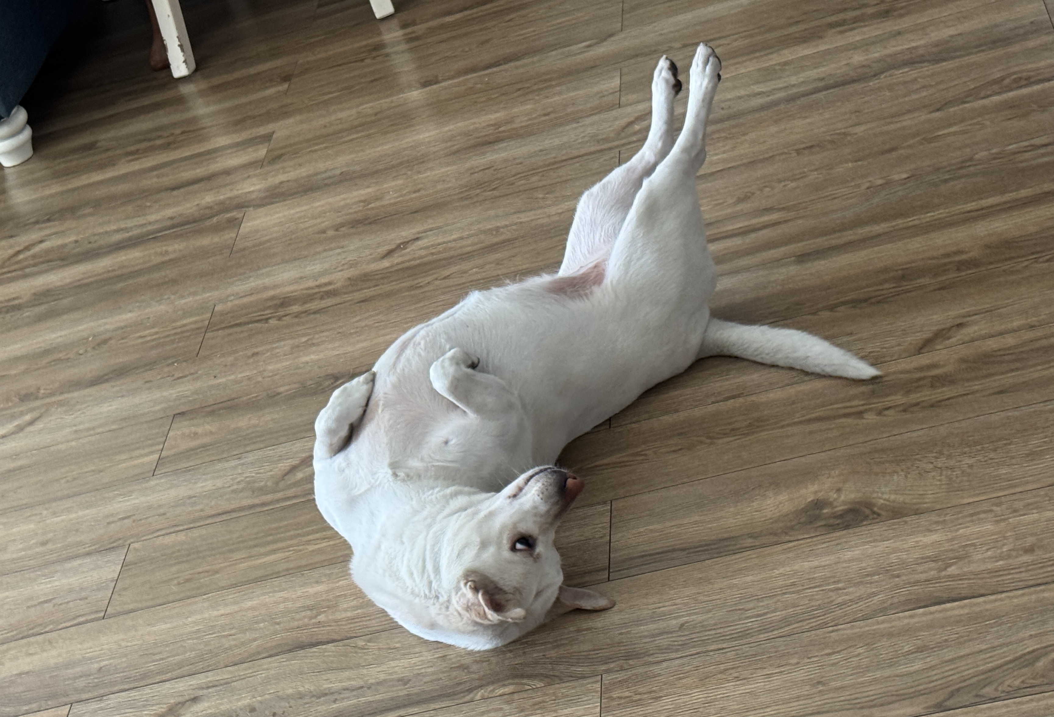 image-5