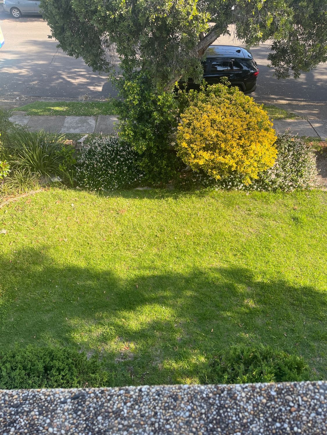 image-17
