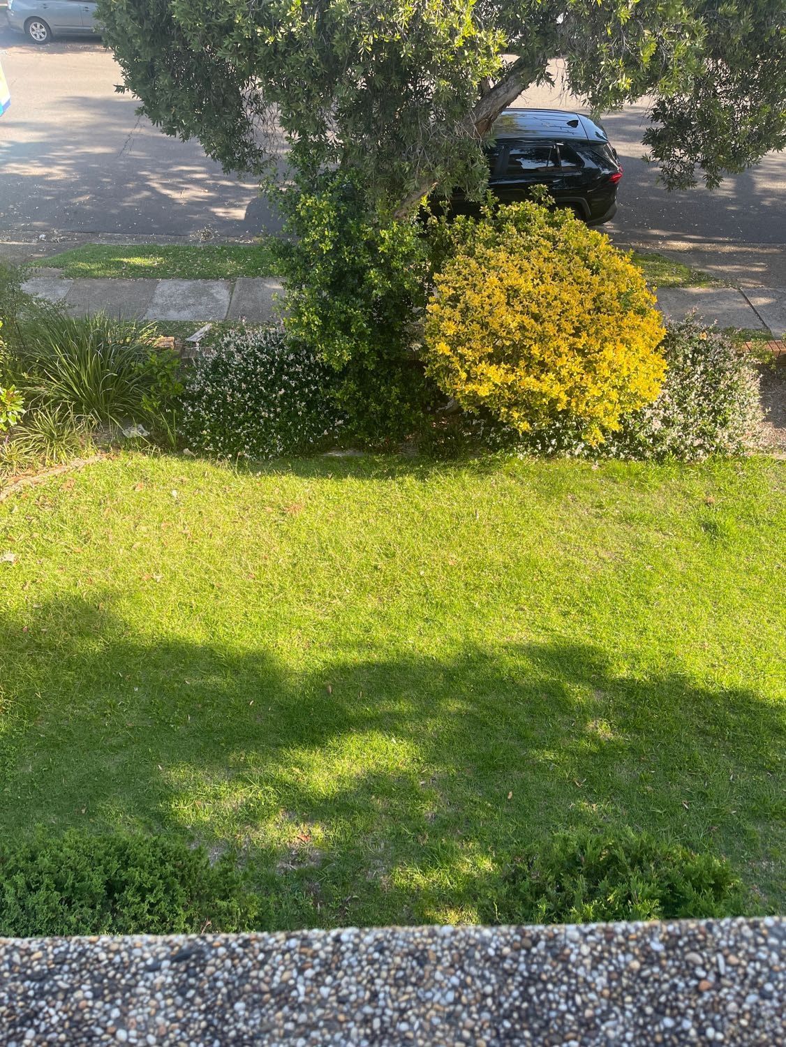 image-17
