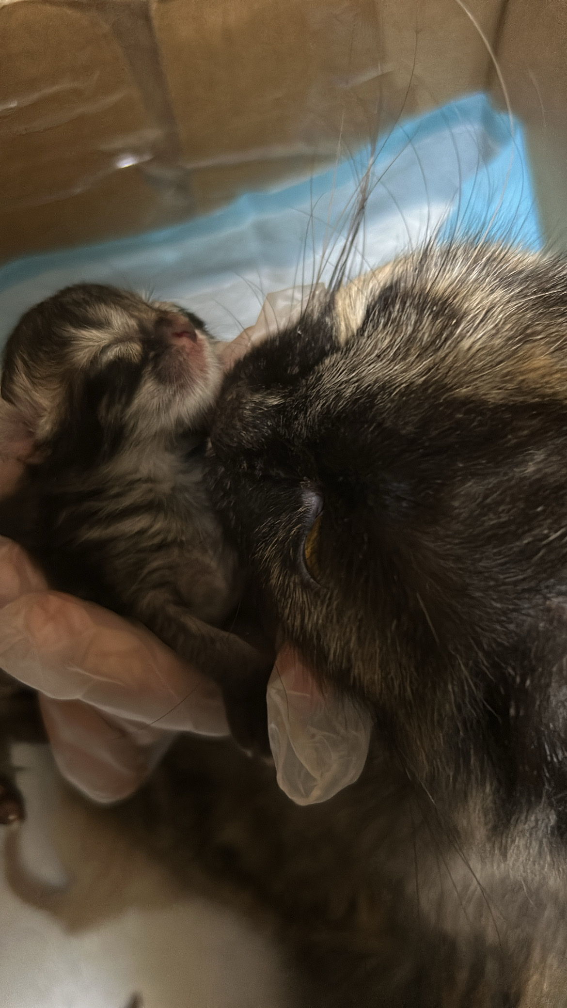 image-26