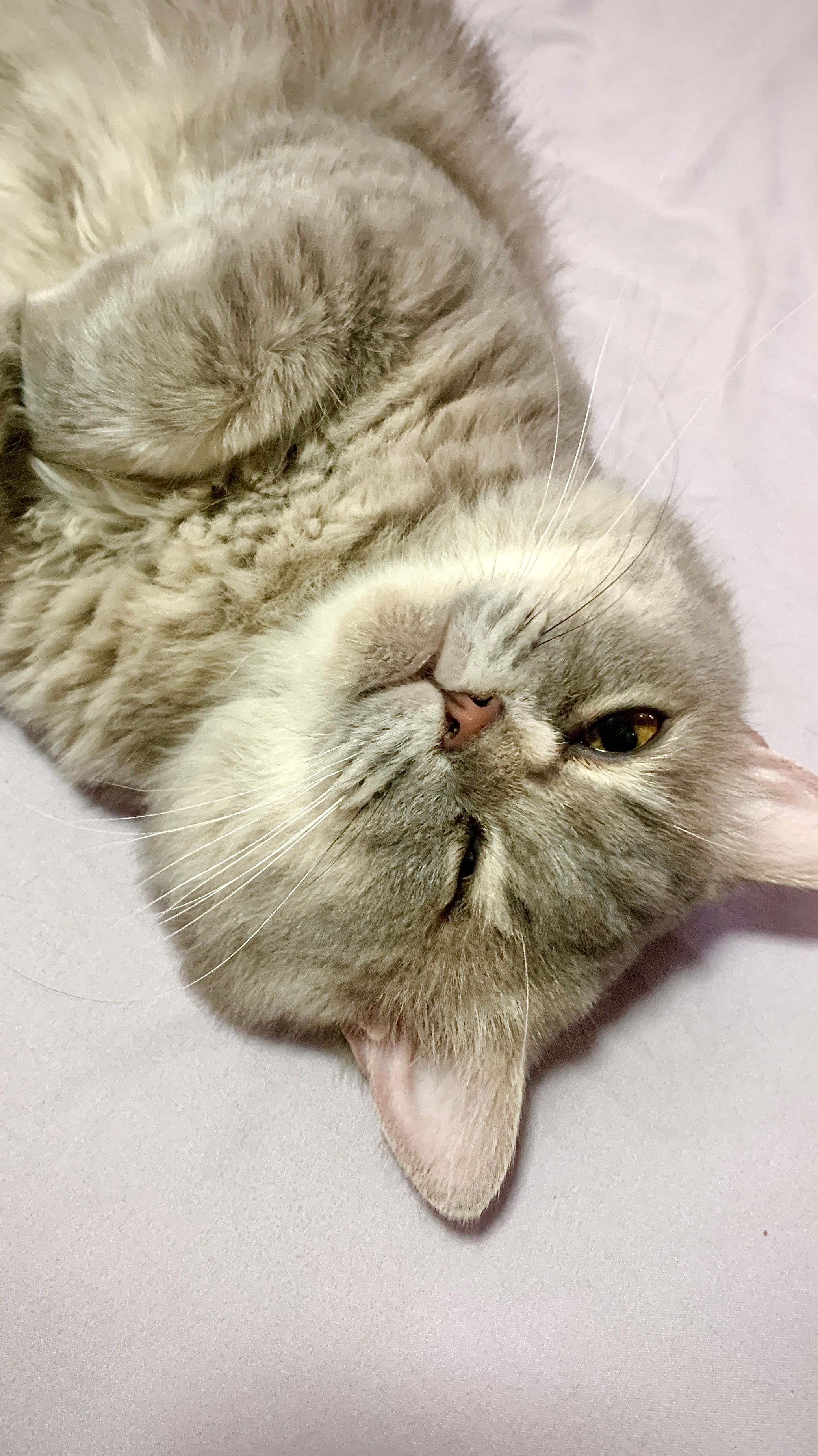 image-33