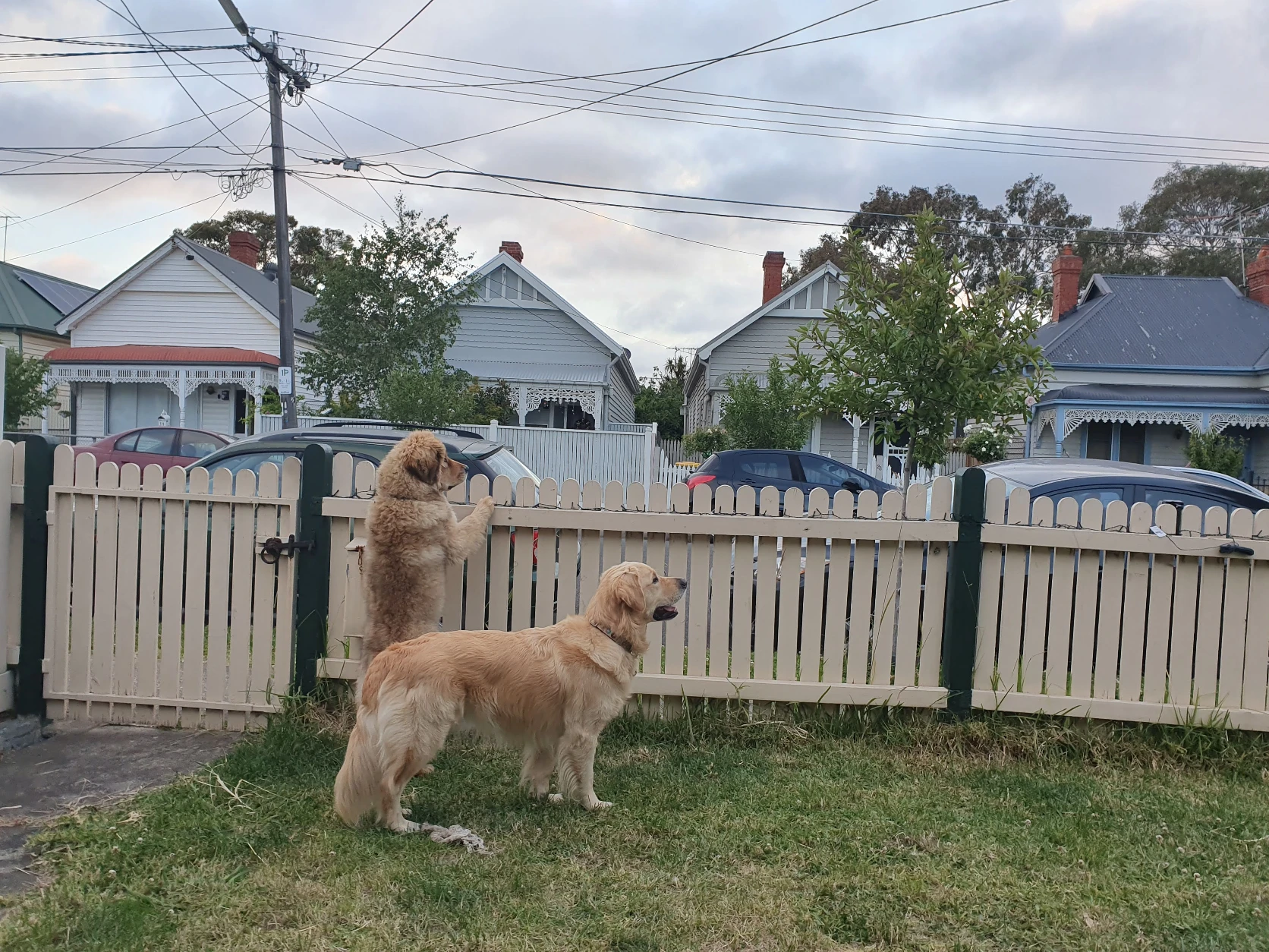 image-13