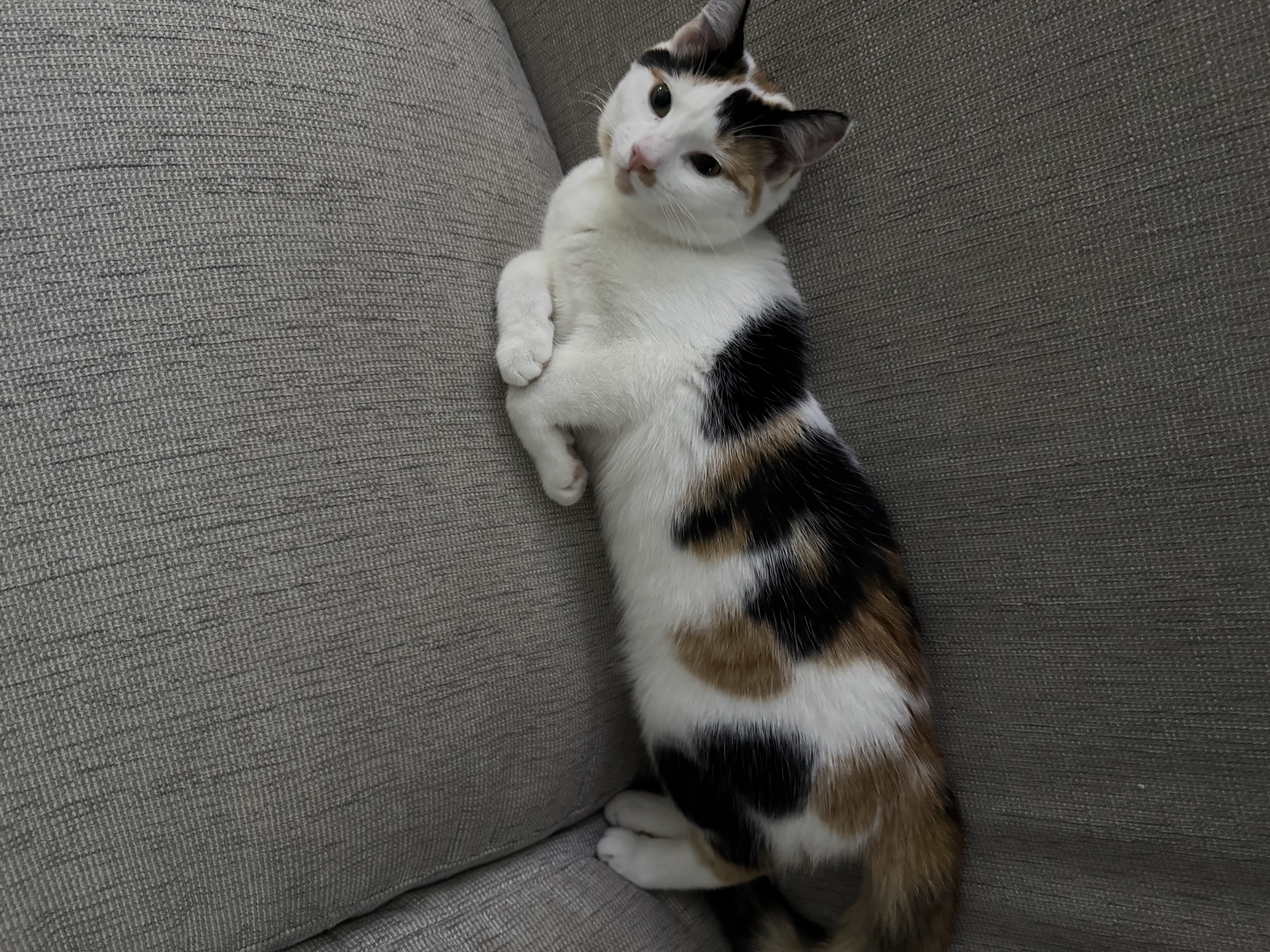 image-6