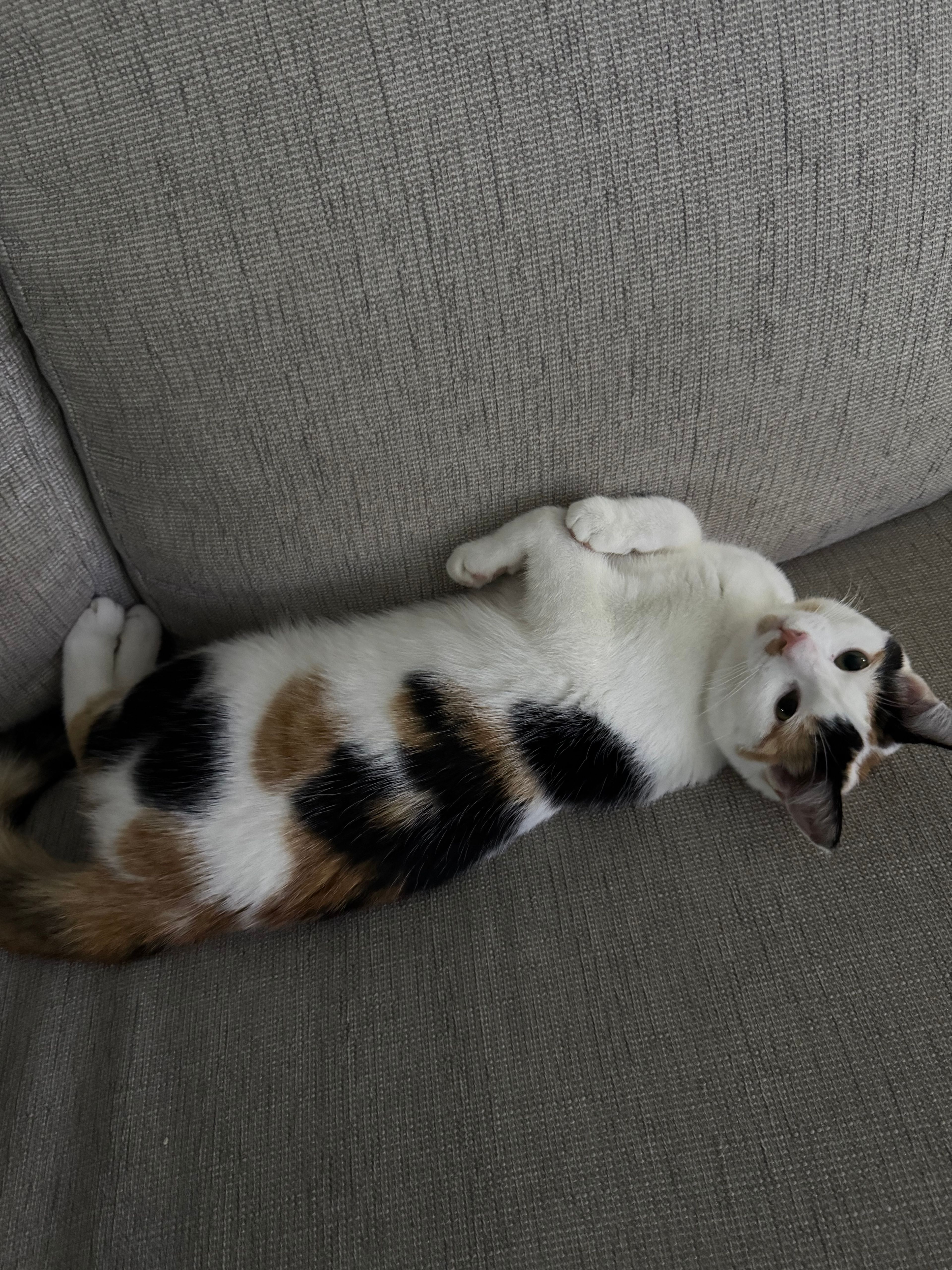 image-6