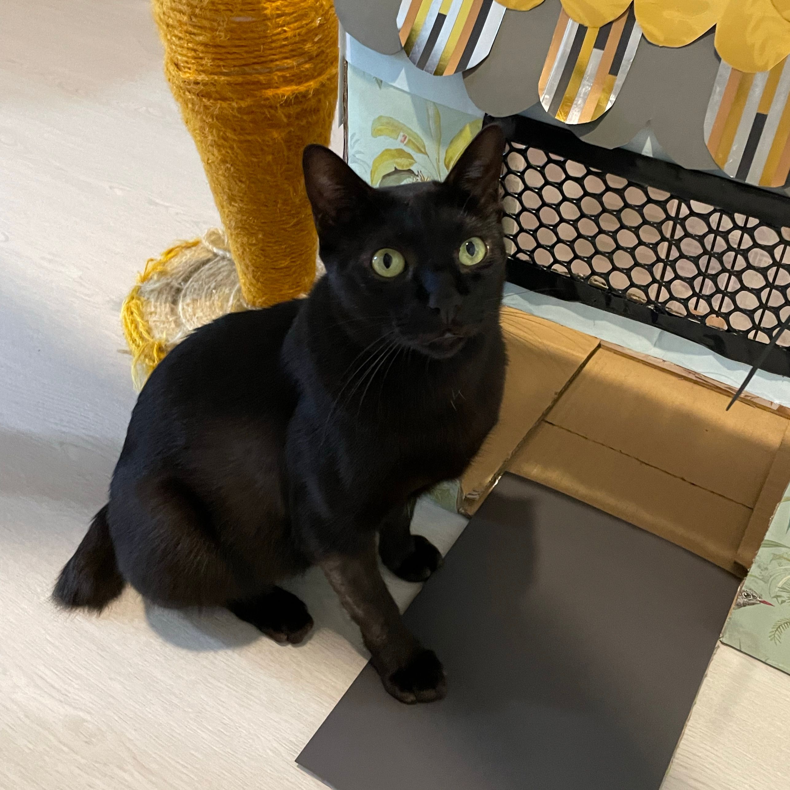 Luna