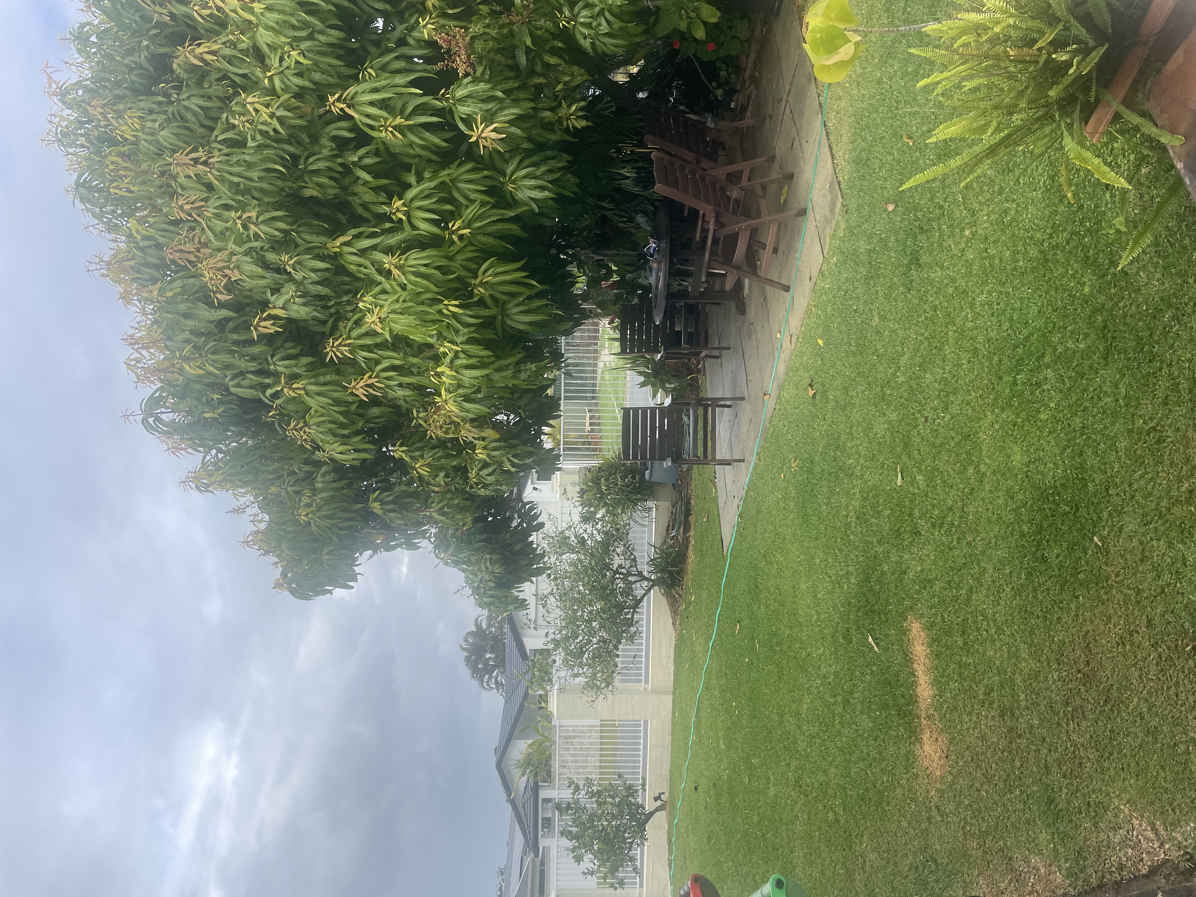 image-14