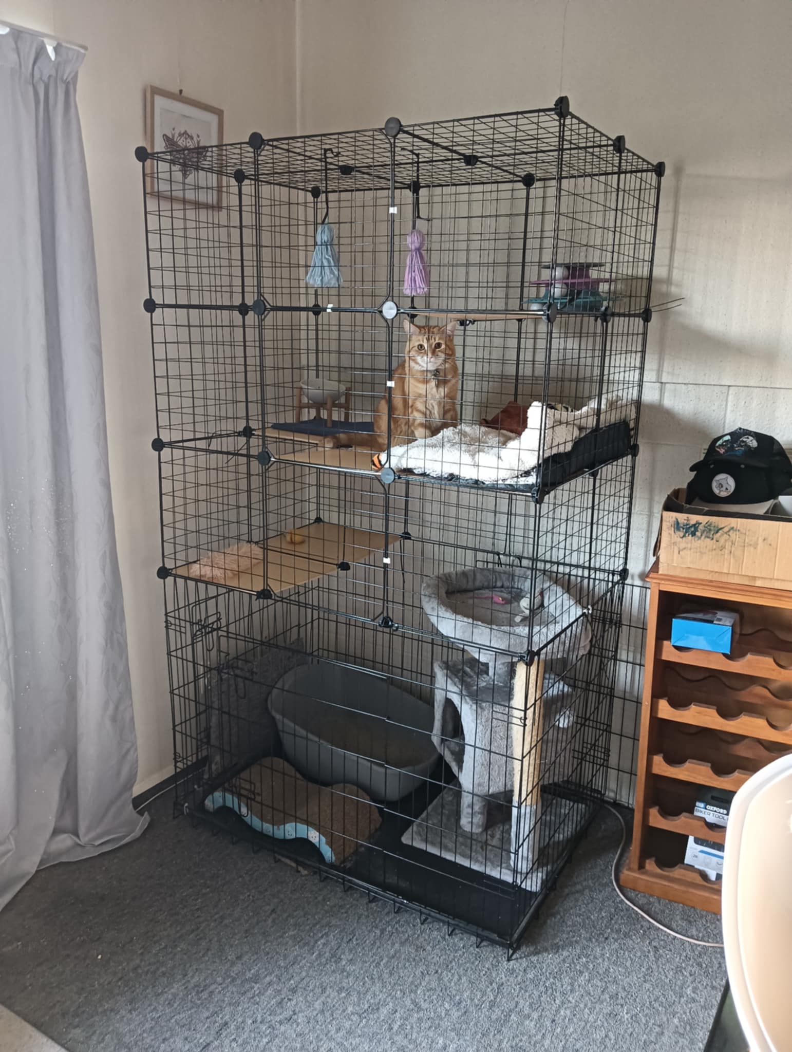 image-10