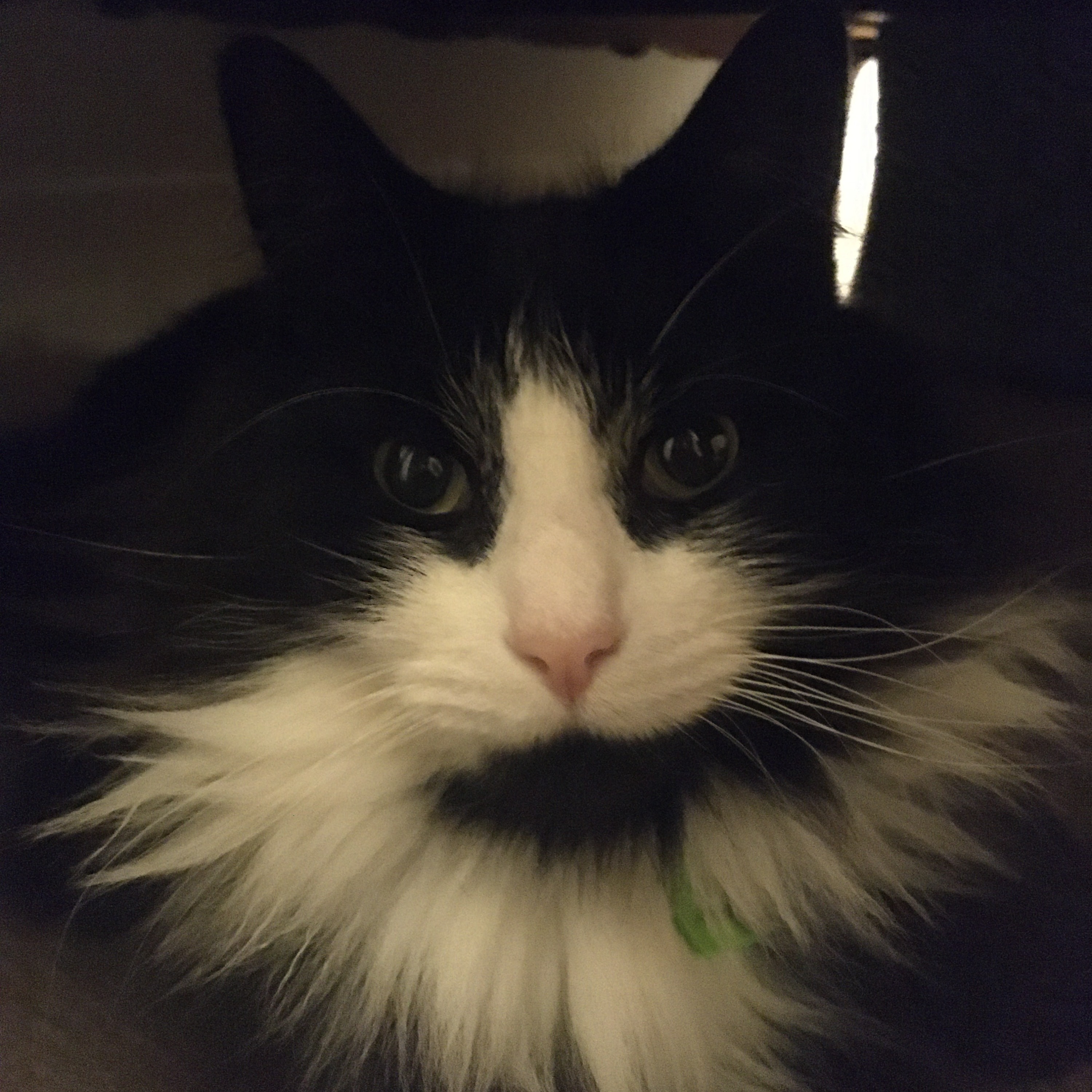 Tichat