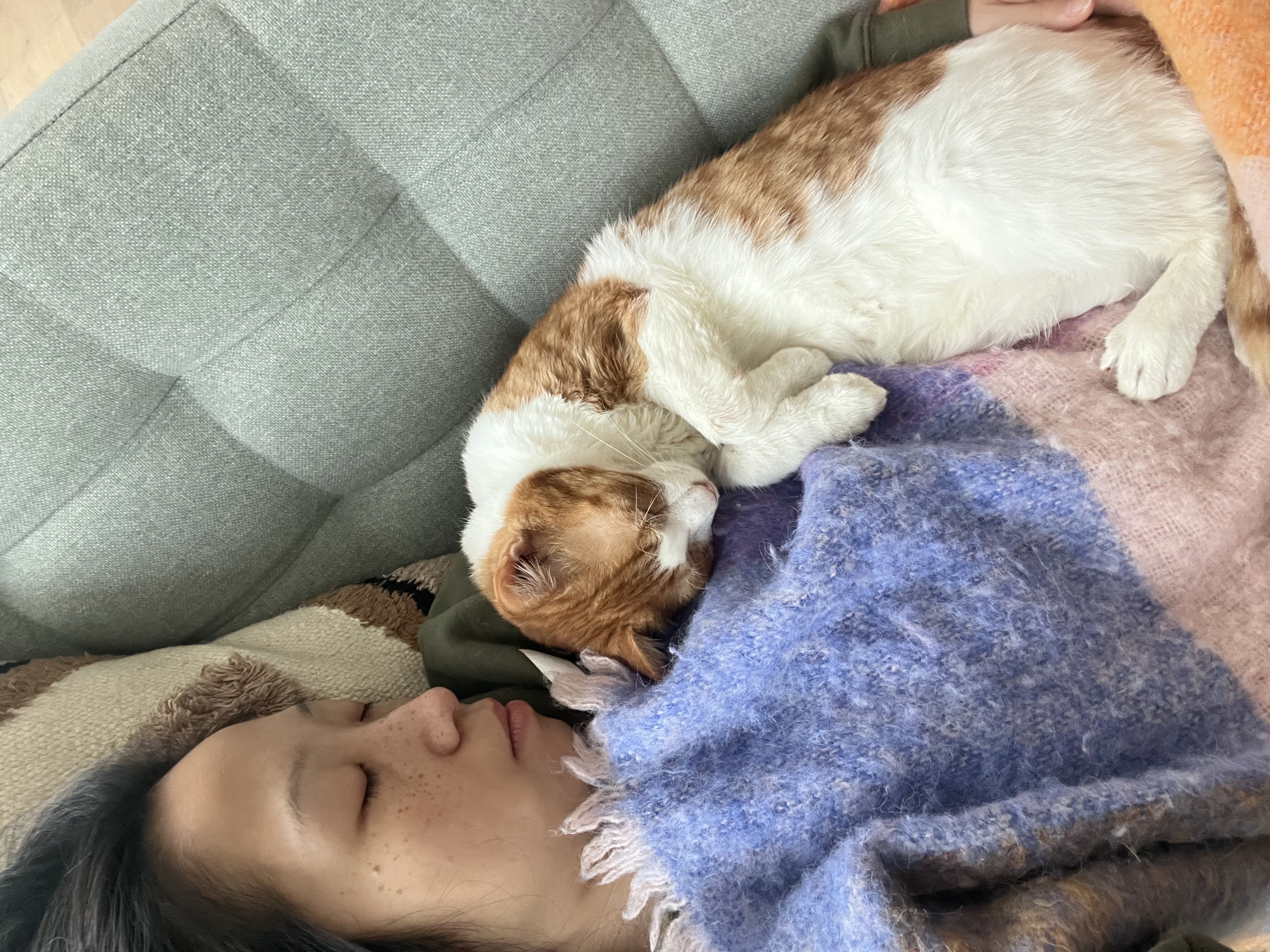 image-5