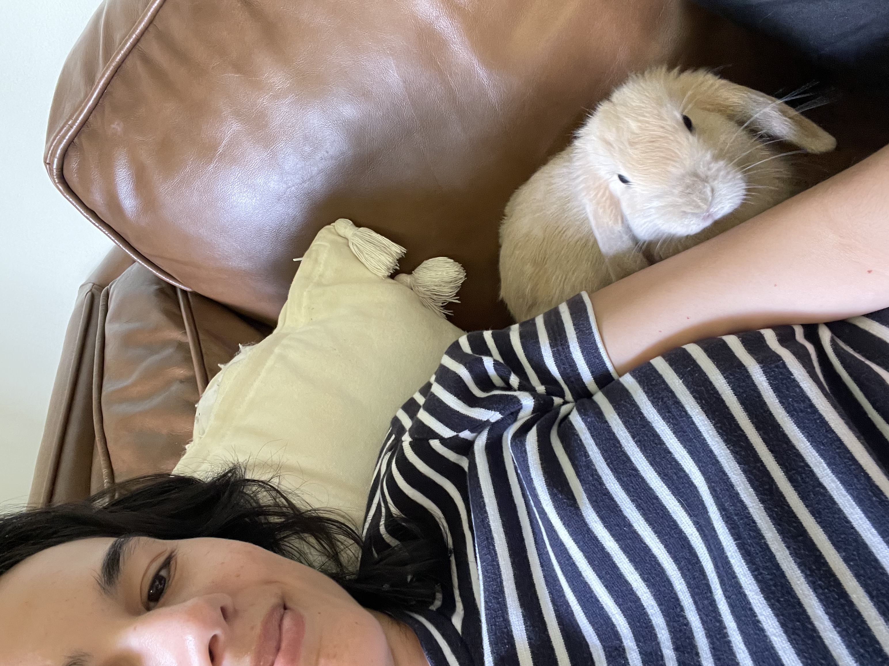 image-9