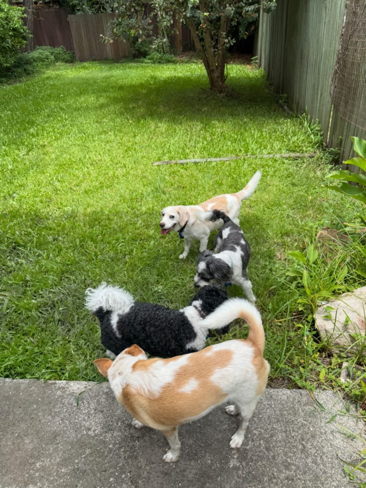 image-3