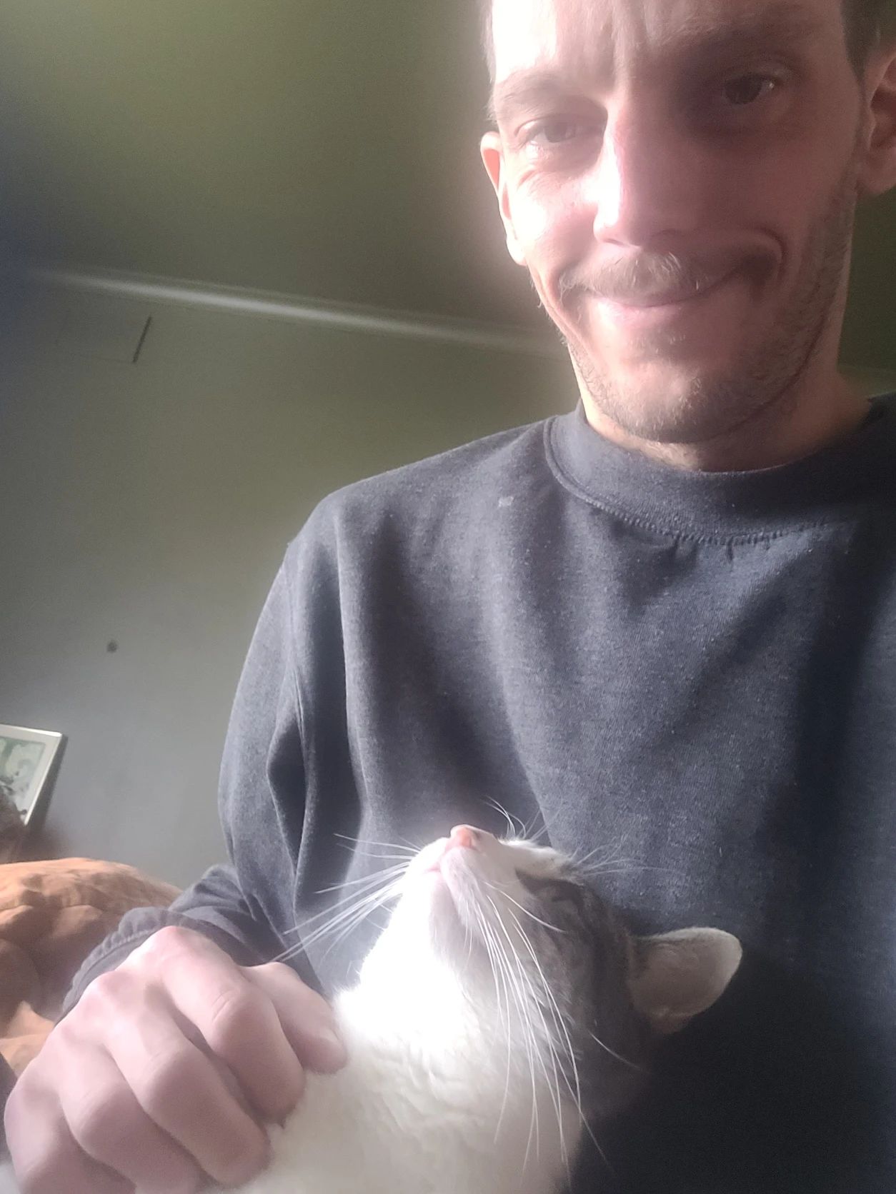 image-6