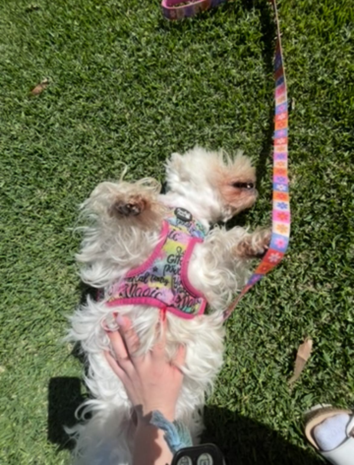 image-8