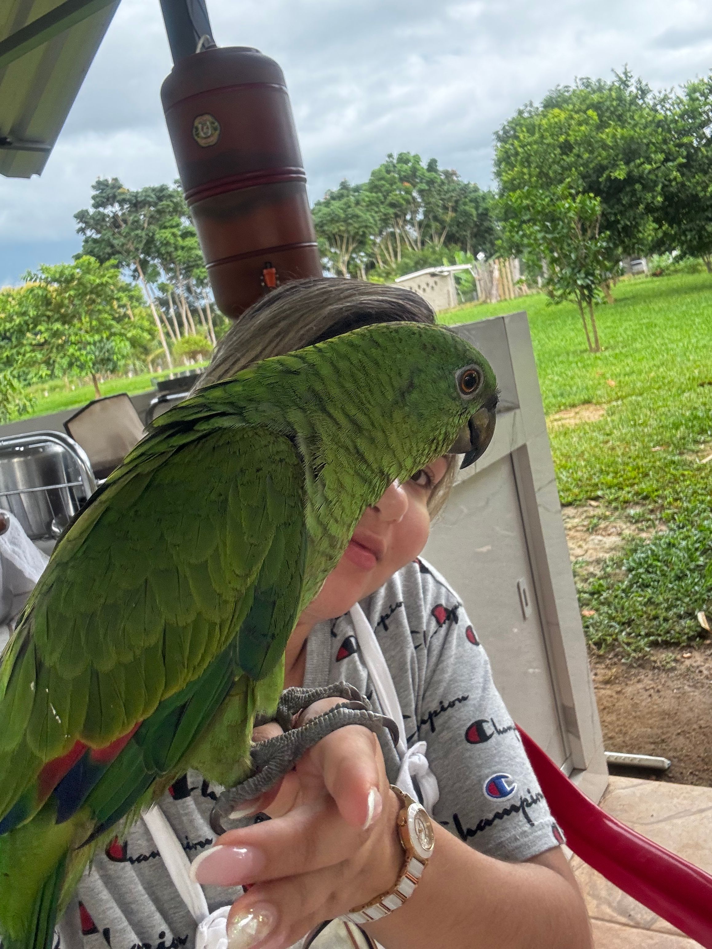 image-6