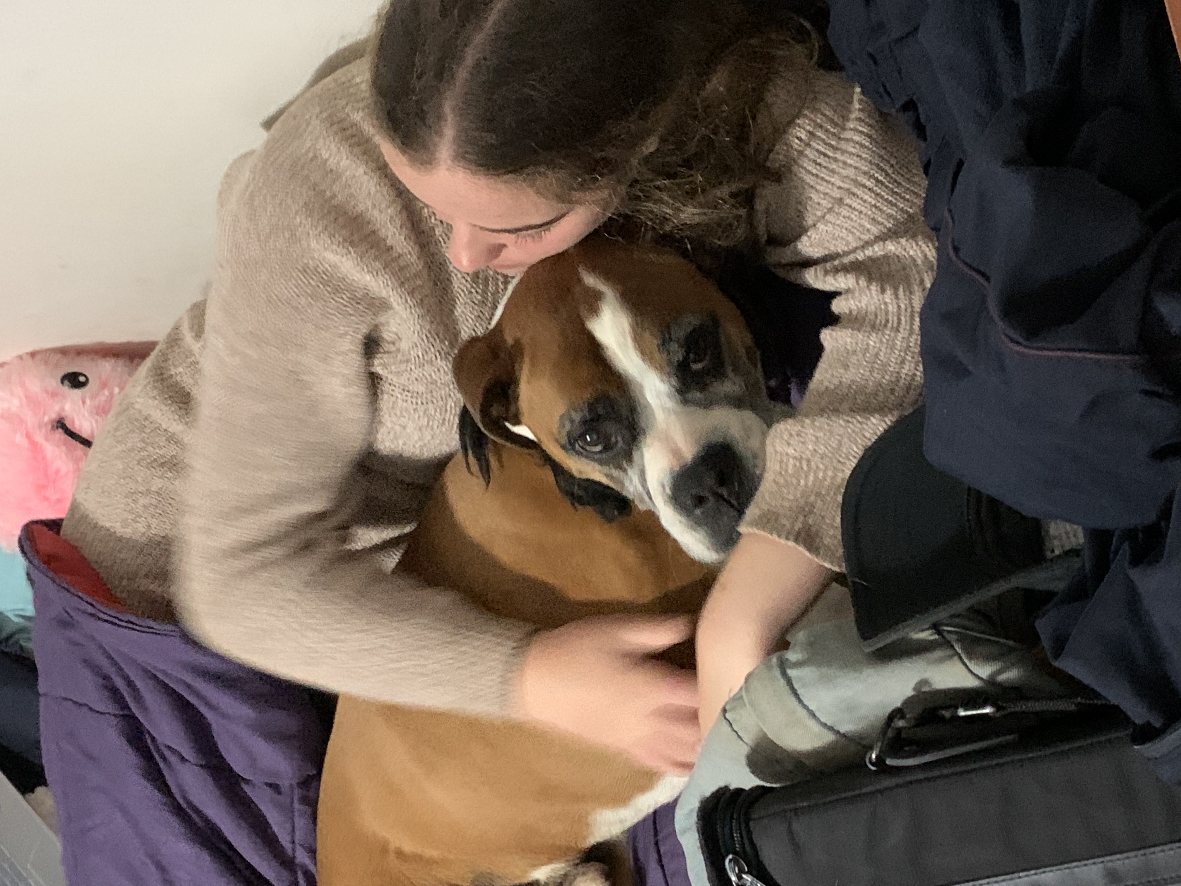 image-6