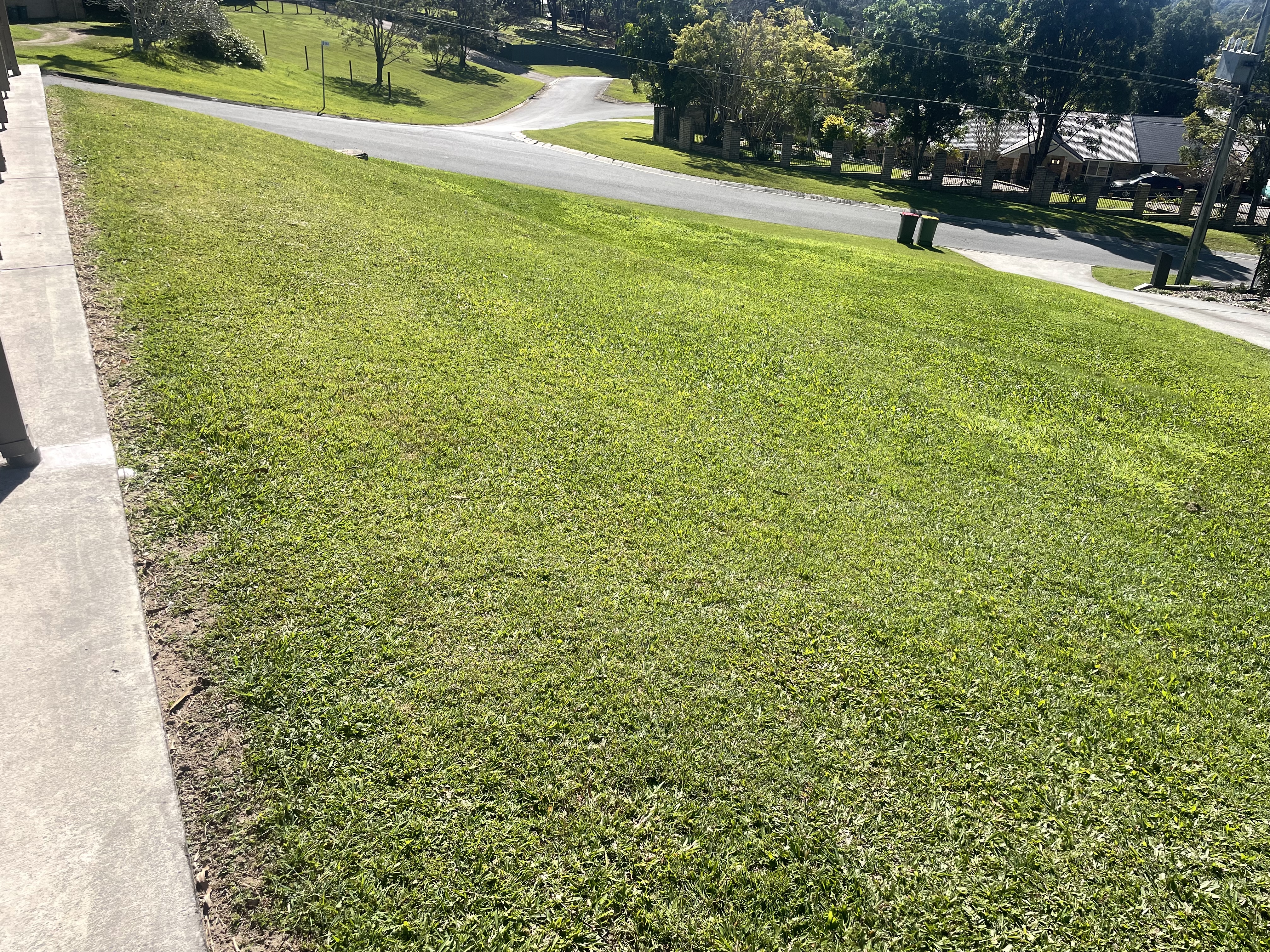 image-14
