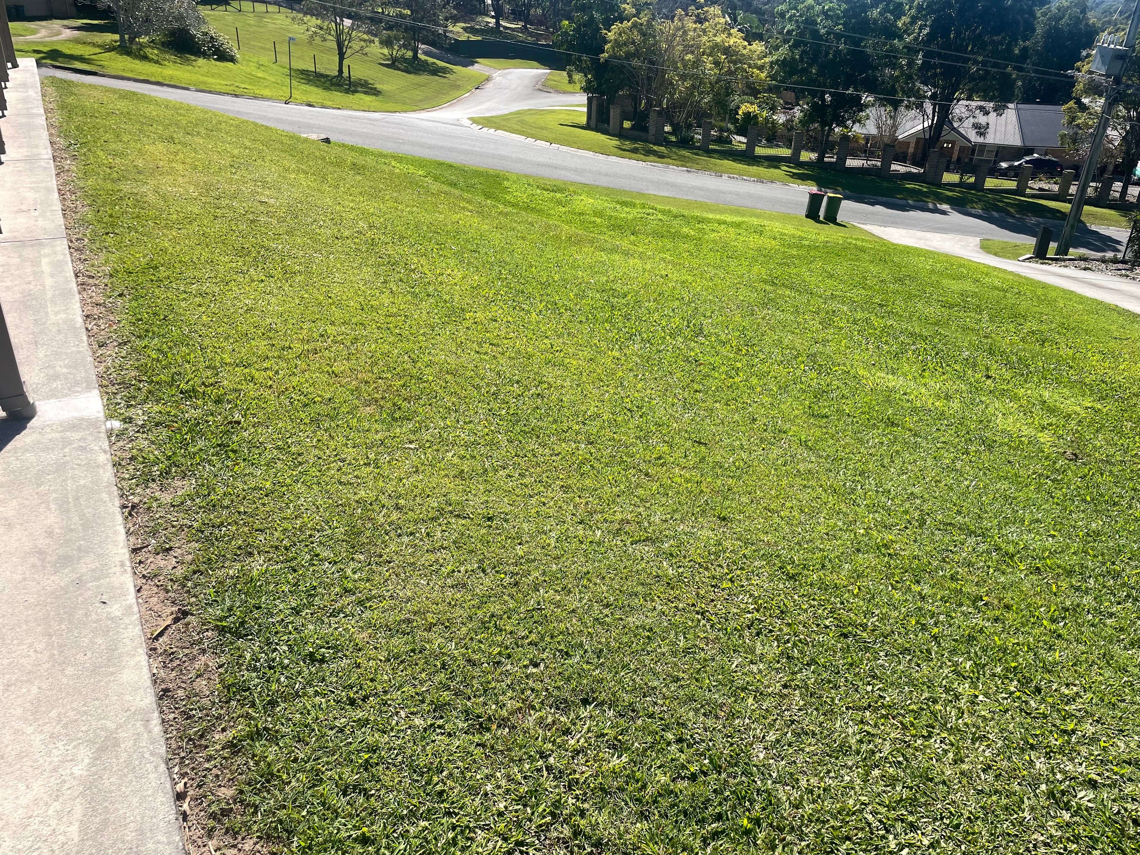 image-14
