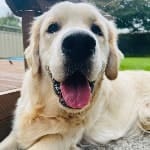 Charlie